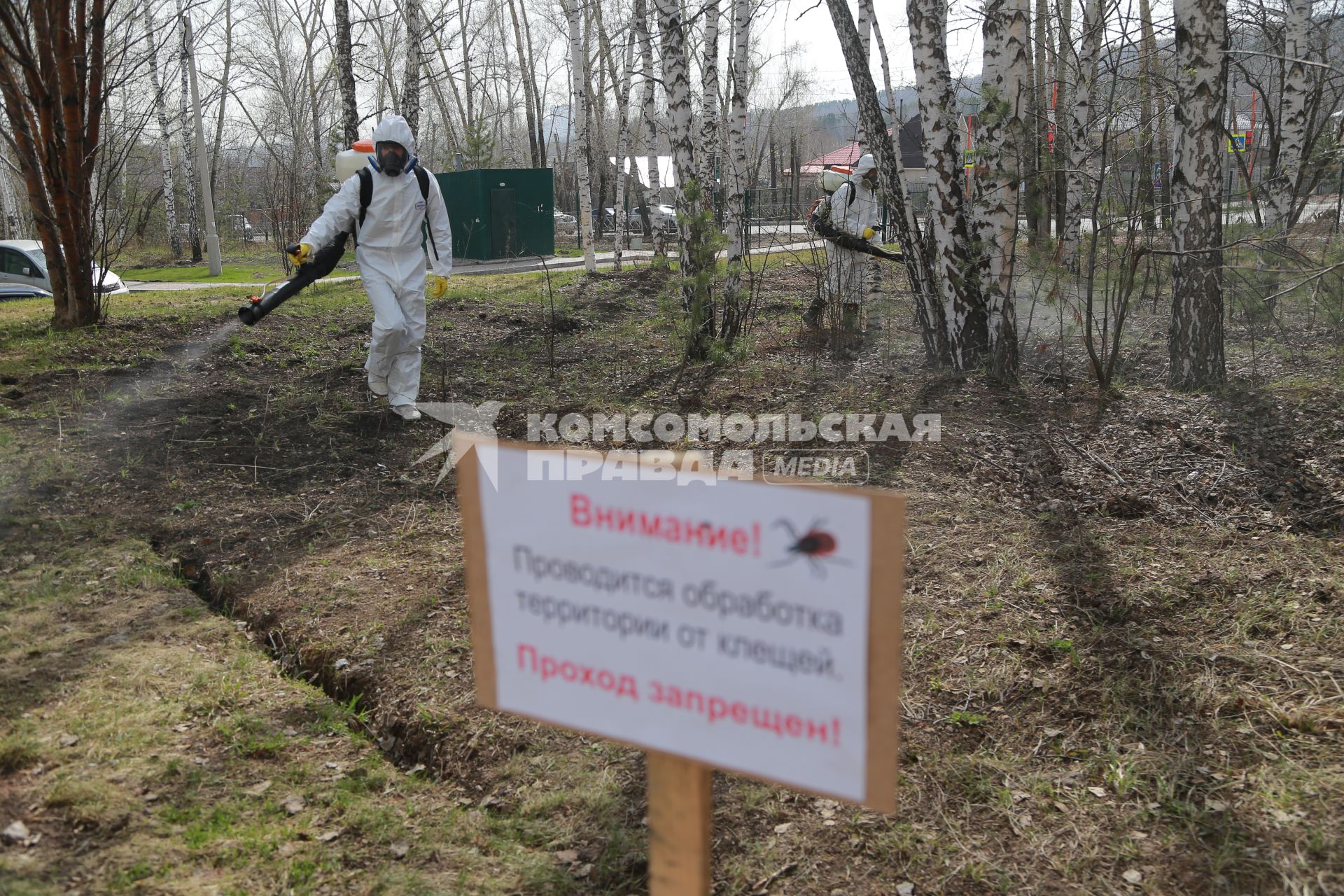 Красноярск. Сотрудники службы дезинфекции проводят акарицидную обработку придомовой территории  против клещей.