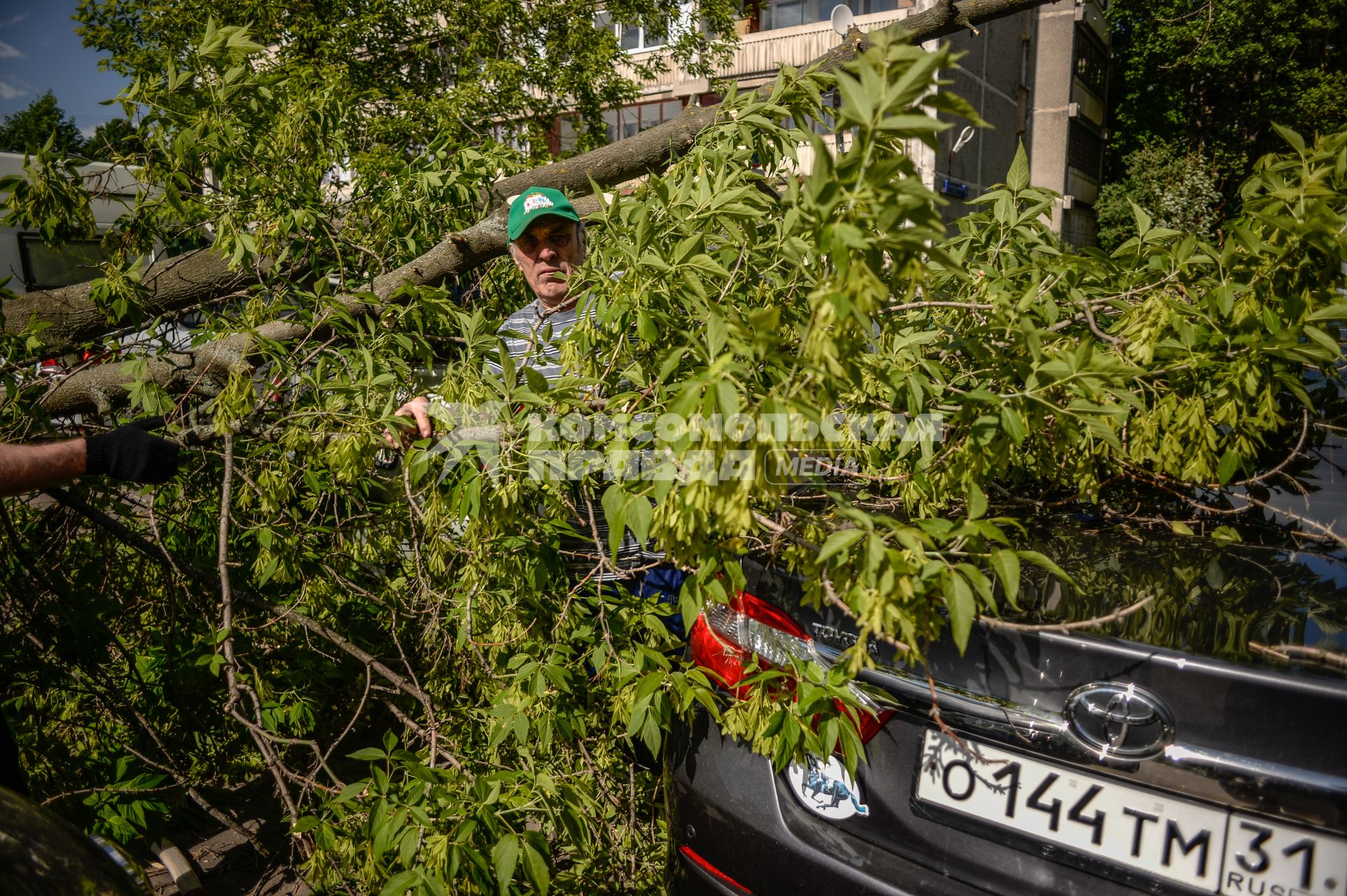 Москва. Мужчина убирает поваленное ураганом дерево в Петровско-Разумовском проезде.