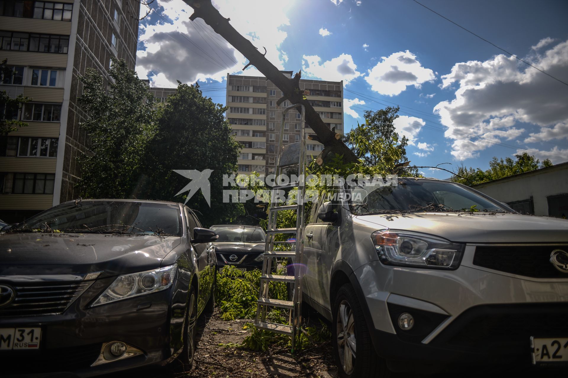 Москва. Поваленное ураганом дерево в Петровско-Разумовском проезде.