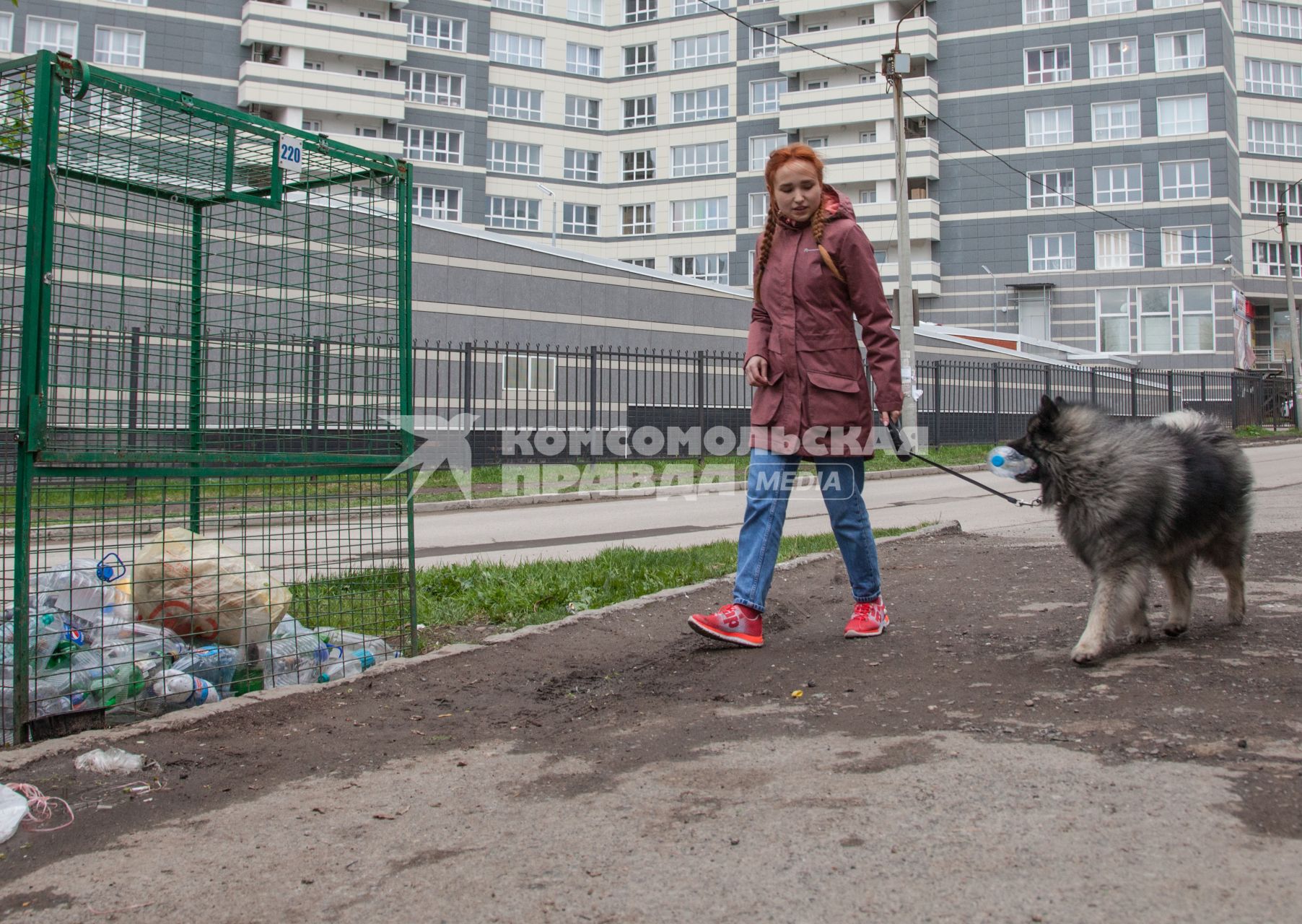 Пермь. Девушка с собакой выбрасывает мусор в контейнер для раздельного сбора пластиковых бутылок.