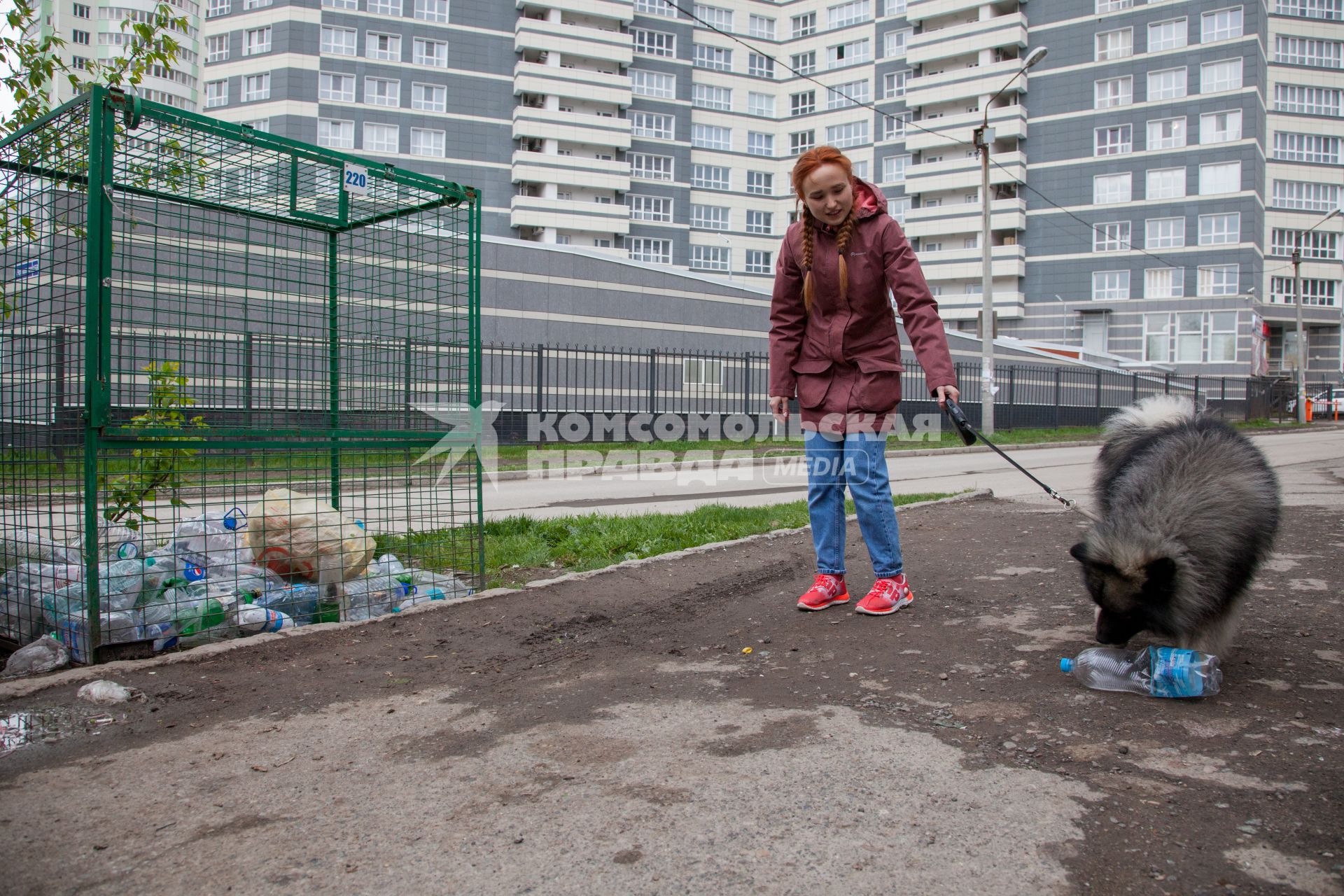 Пермь. Девушка с собакой выбрасывает мусор в контейнер для раздельного сбора пластиковых бутылок.