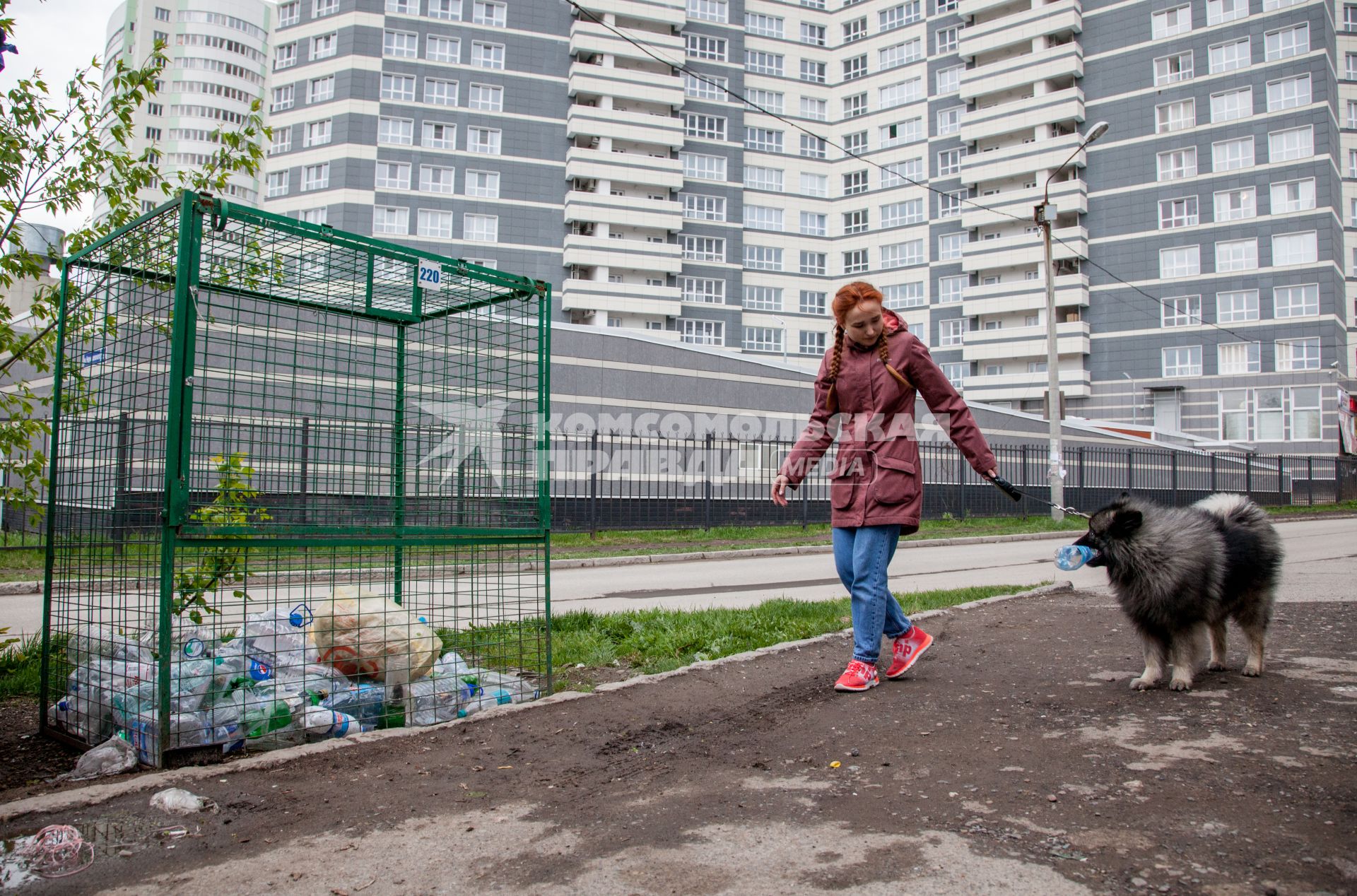 Пермь. Девушка с собакой выбрасывает мусор в контейнер для раздельного сбора пластиковых бутылок.