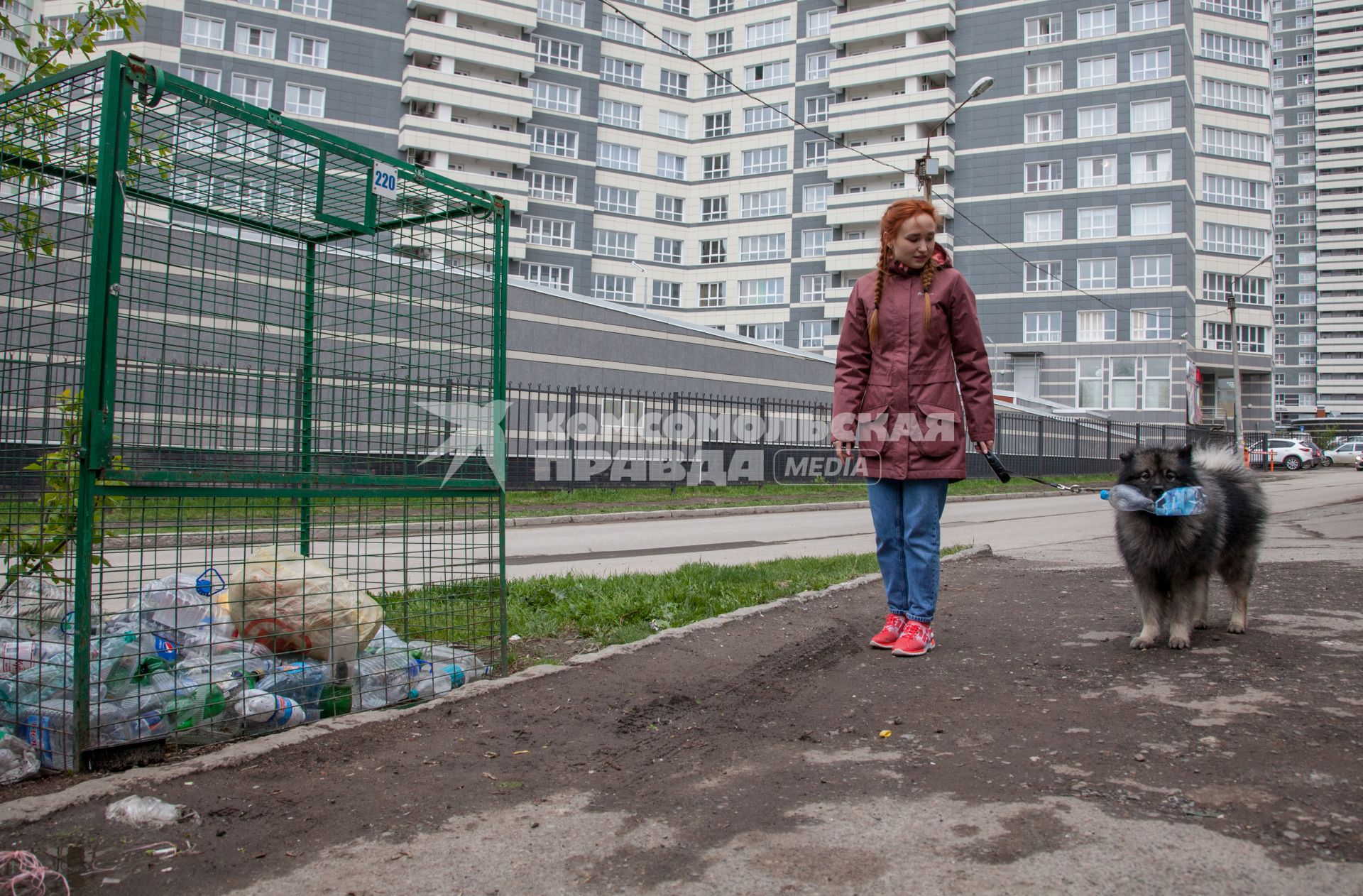 Пермь. Девушка с собакой выбрасывает мусор в контейнер для раздельного сбора пластиковых бутылок.