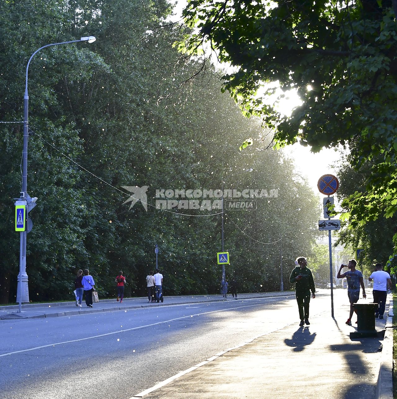 Москва. Тополиный пух на улицах города.