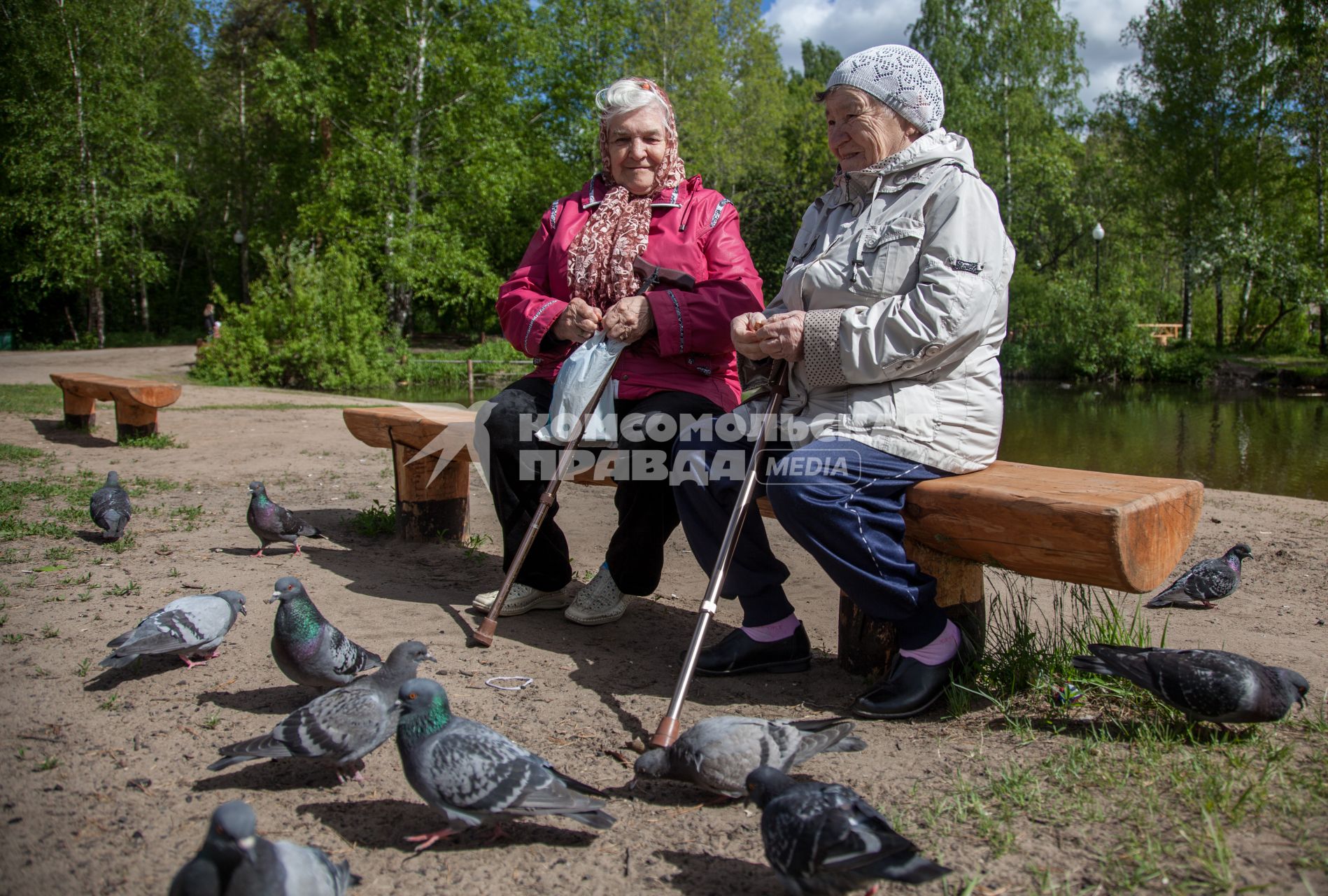 Пермь. Пожилые женщины во время прогулки в парке.