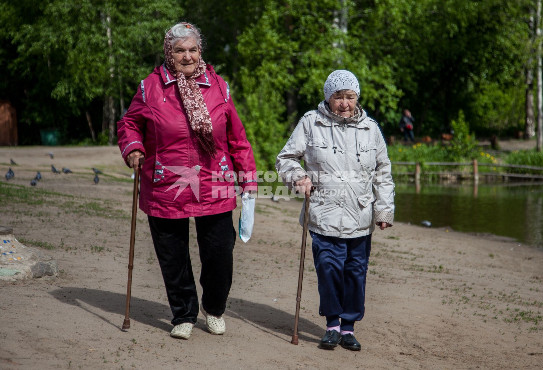 Пермь. Пожилые женщины во время прогулки в парке.