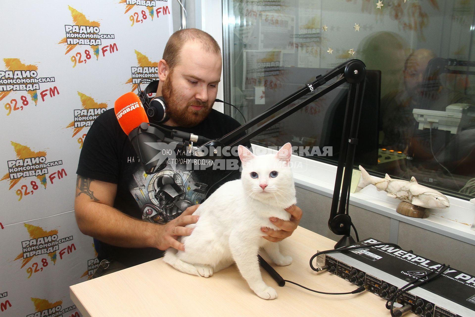 Нижний Новгород. Первый в городе официально трудоустроенный кот Кефир с хозяином Анатолием Чадаевым на радио `Комсомольская правда`.