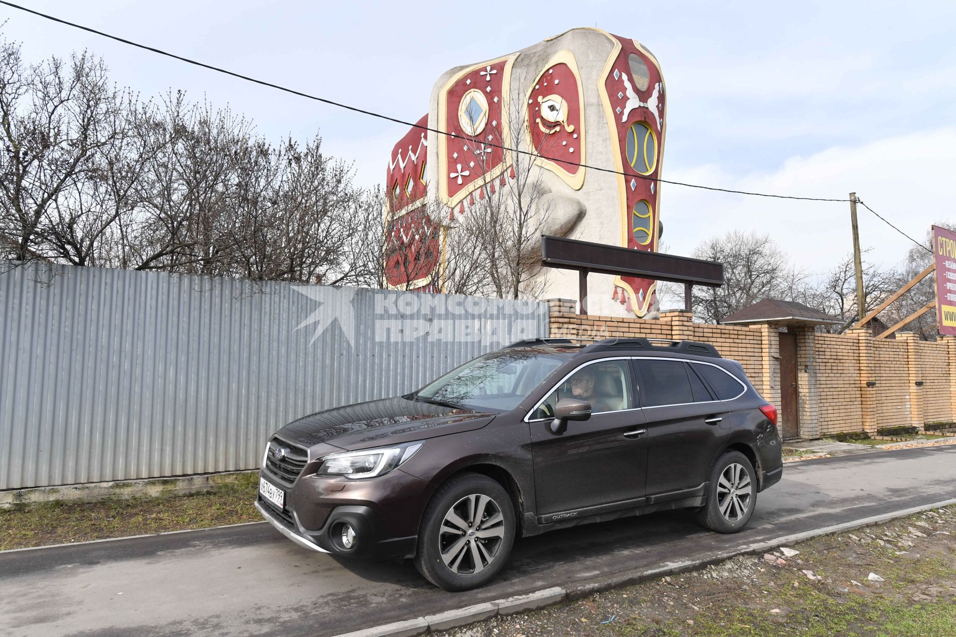 Московсая область. Дом в иде слона  в поселке Островцы.