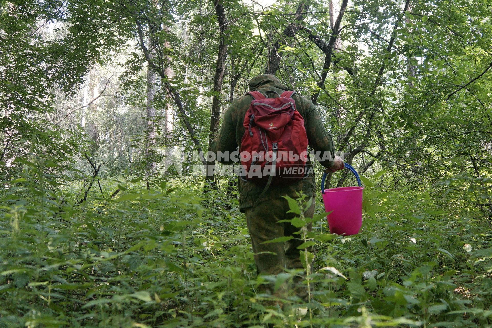 Екатеринбург. Мужчина в лесу во время сбора грибов