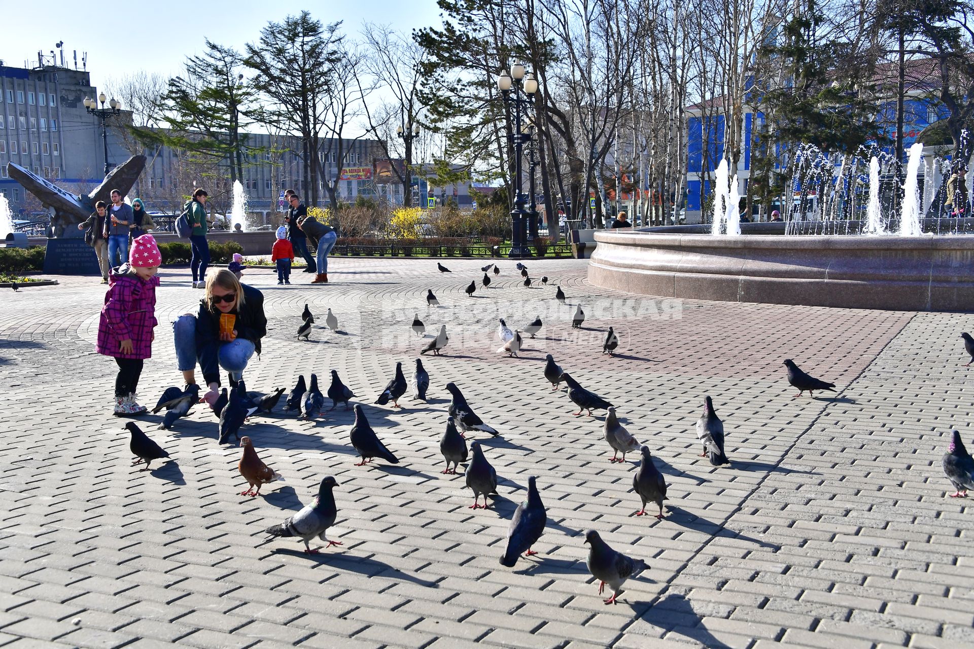 Сахалин, Южно-Сахалинск.  Девочка кормит голубей на одной из улиц города.