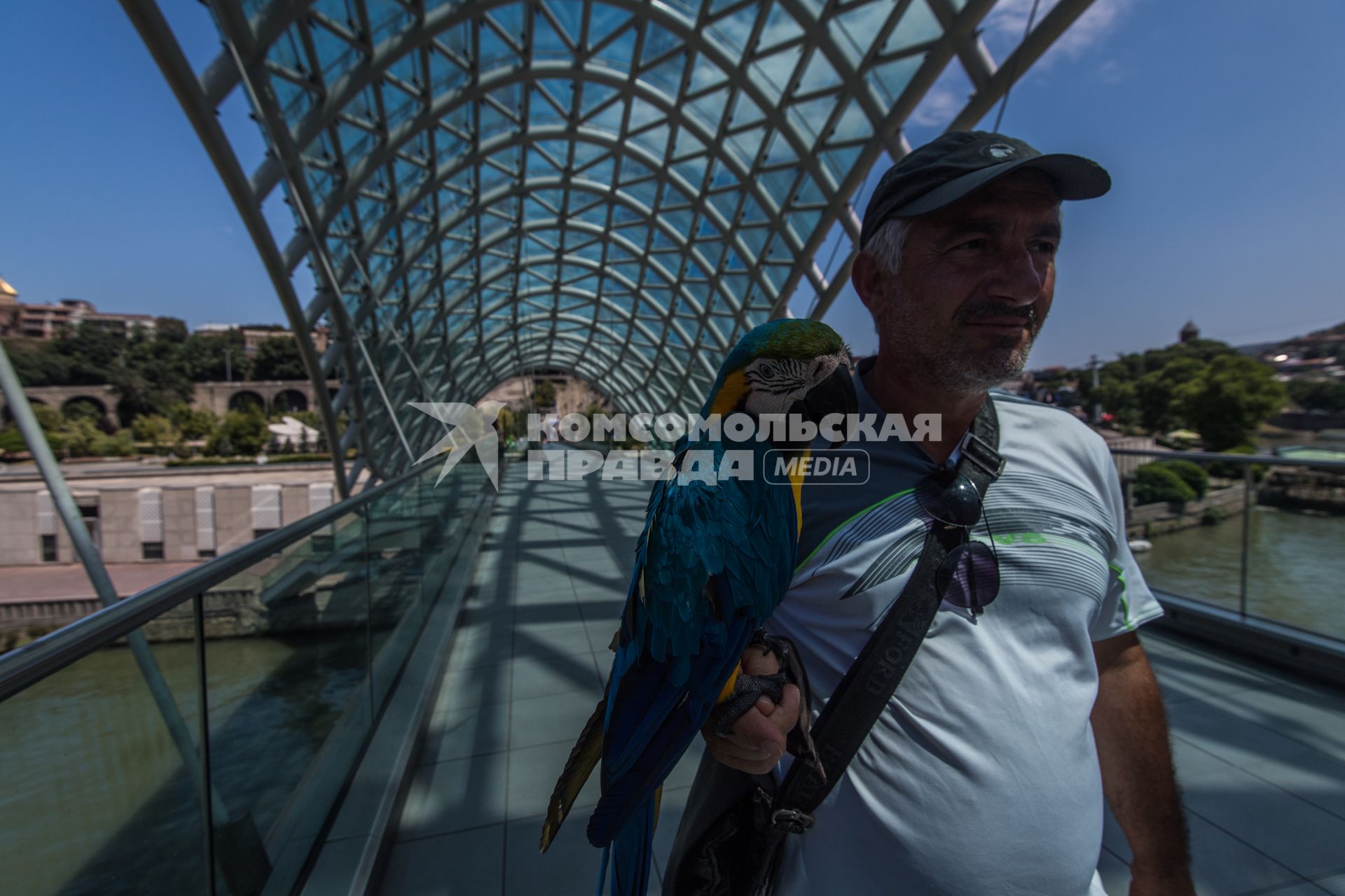 Грузия, Тбилиси.  Мужчина с попугаем на  пешеходном стеклянном мосту Мира через реку Кура (Мтквари).