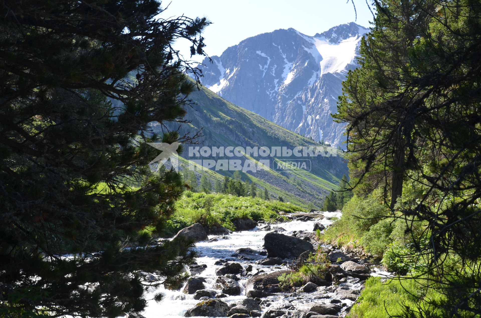 Алтайский край Усть-Калманский район 2018 год