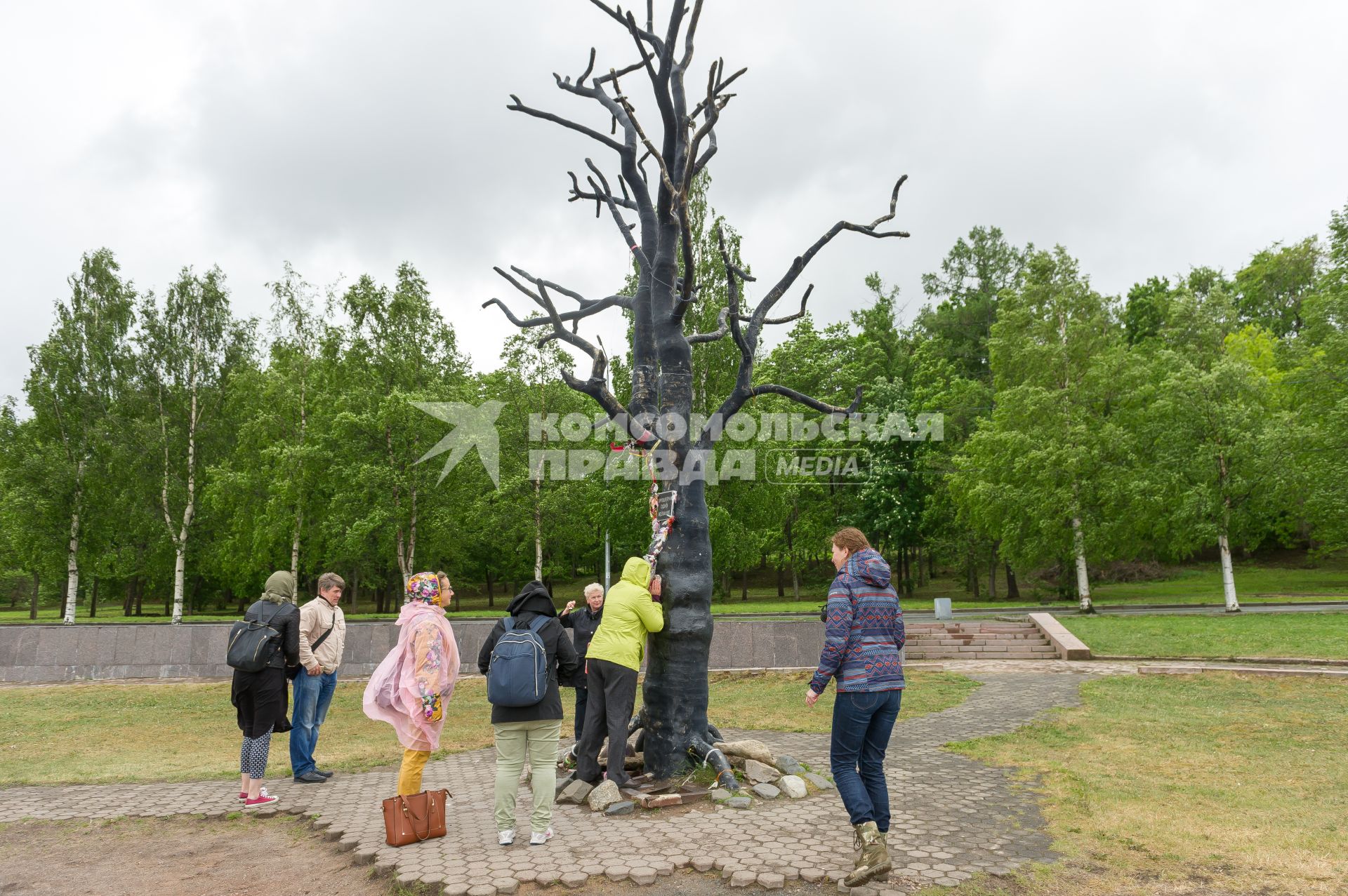 Республика Карелия. Петрозаводск. Памятник `Дерево желаний`на Онежской набережной.