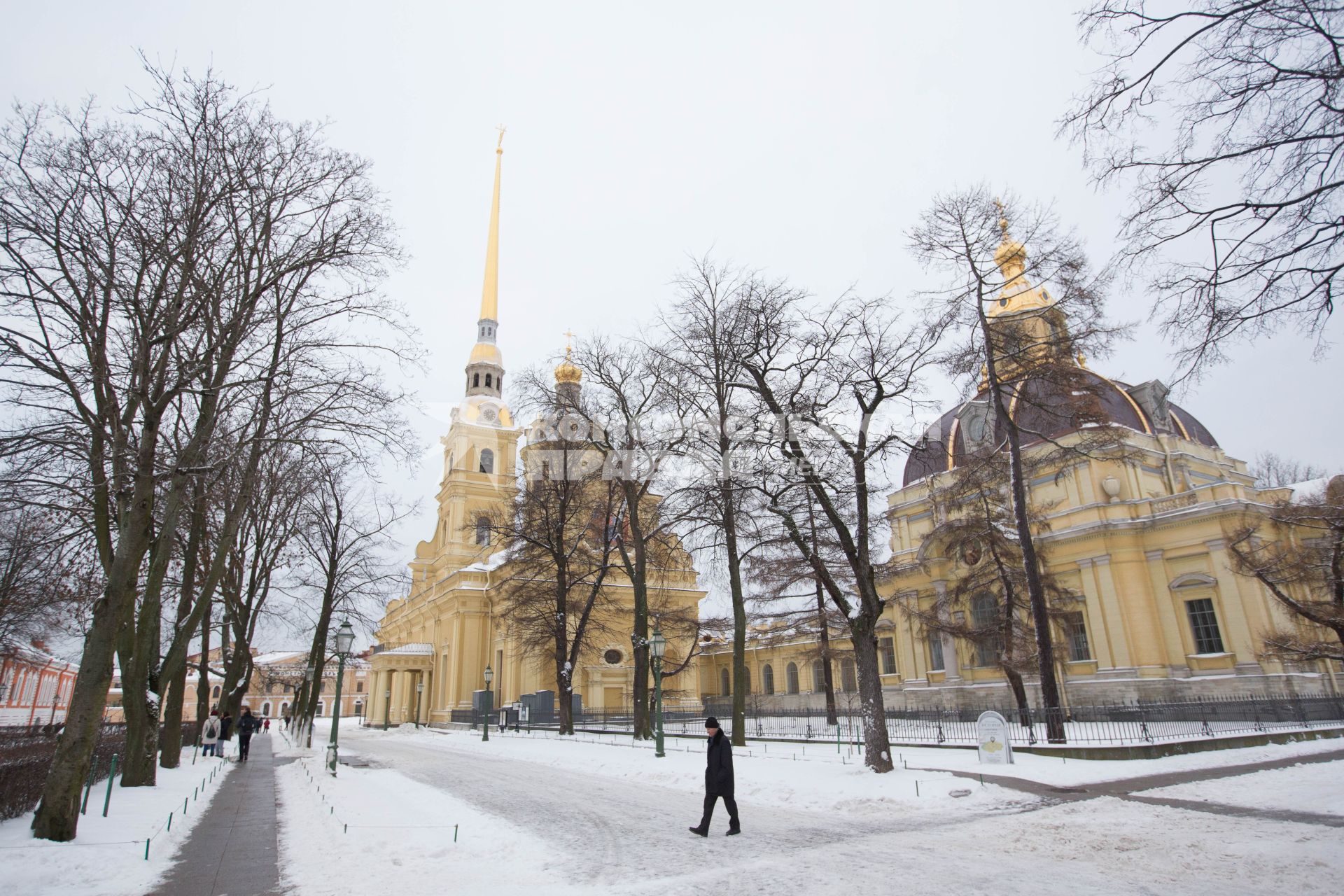 Санкт-Петербург. Вид Петропавловской крепости зимой.