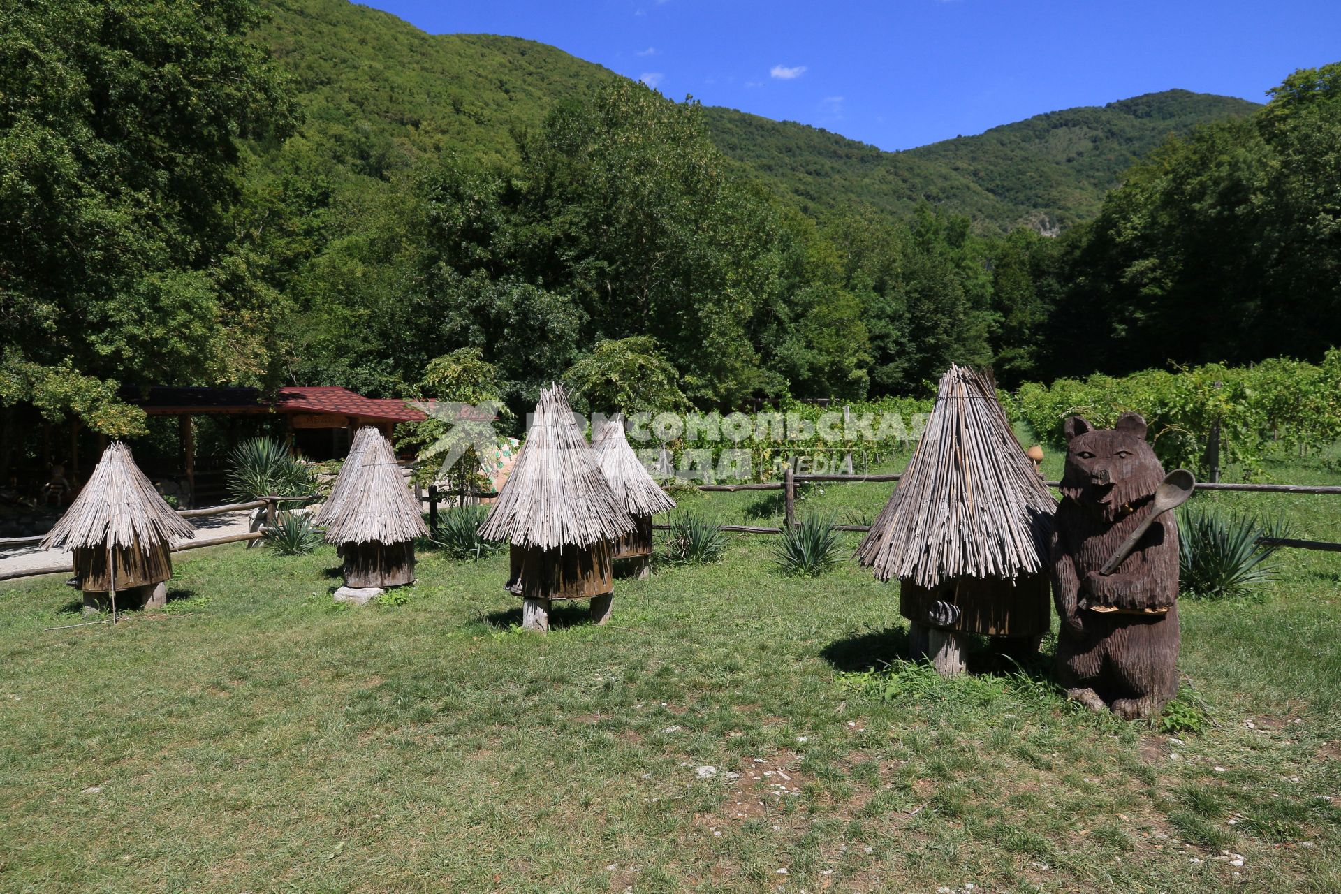 Краснодарский край, Геленджик. Экскурсия на пасеку `Дивномёдье`.