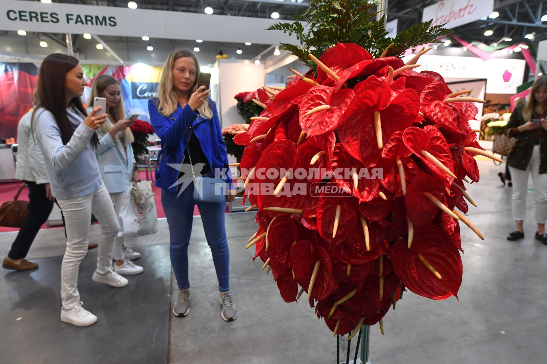 Москва. На выставке `ЦветыЭкспо 2018`в МВЦ `Крокус Экспо`.