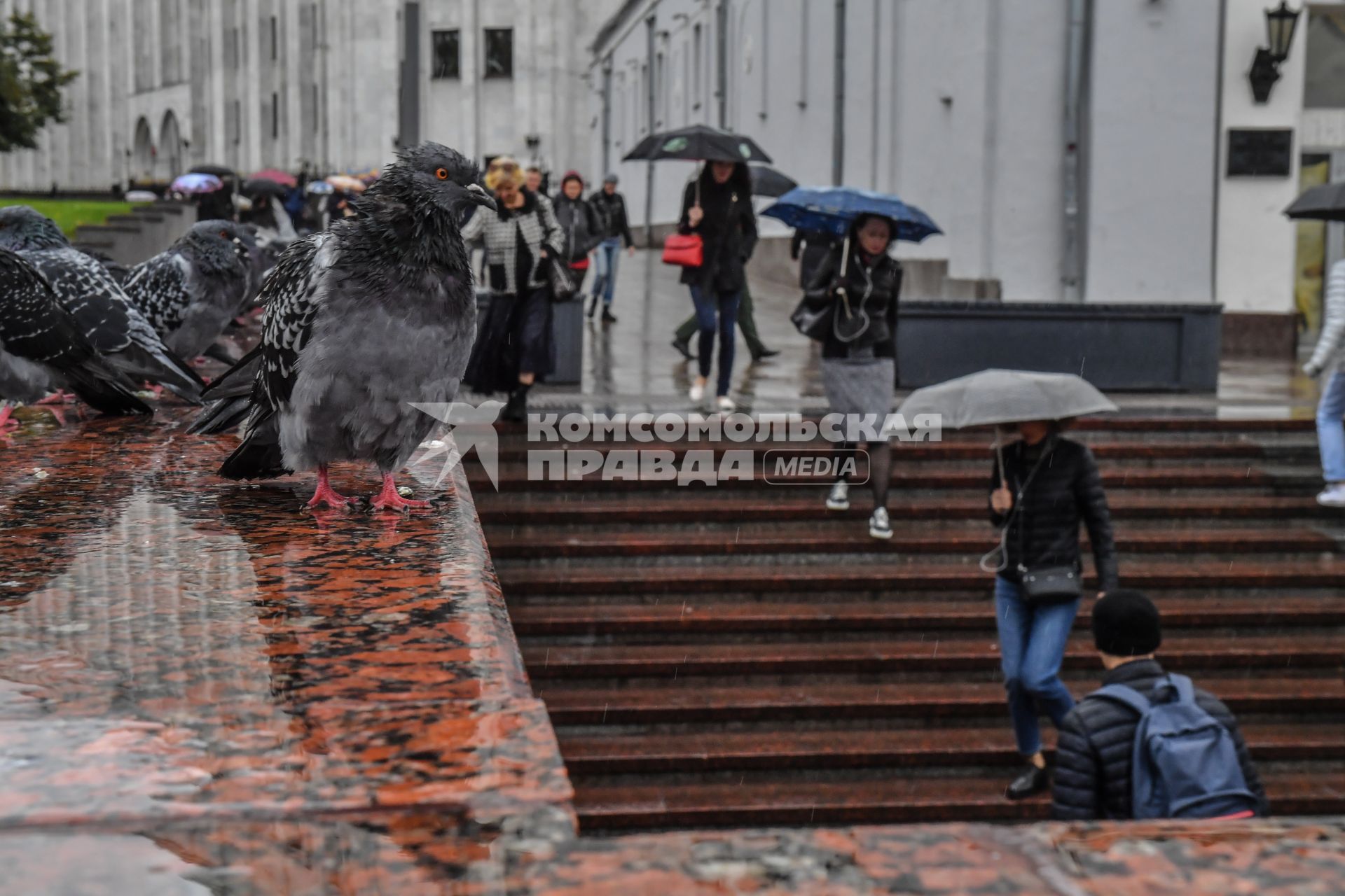 Москва. Прохожие под дождем на Воздвиженке.