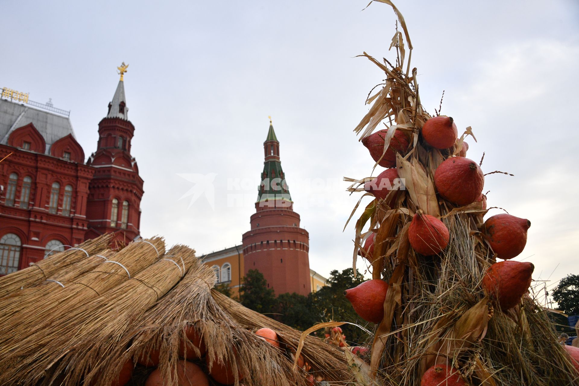 Москва. Во время гастрономического фестиваля `Золотая осень - 2018` на Манежной площади.
