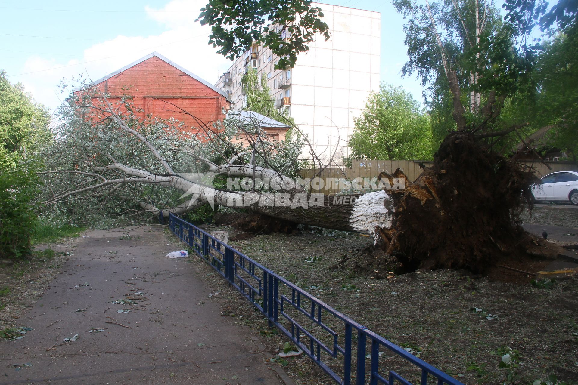 Нижний Новгород. Упавшее во время урагана дерево на одной из улиц города.