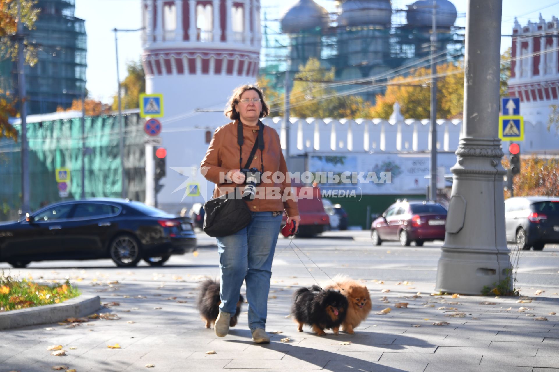 Москва. Дама с собачками у стен Новодевичьего монастыря.