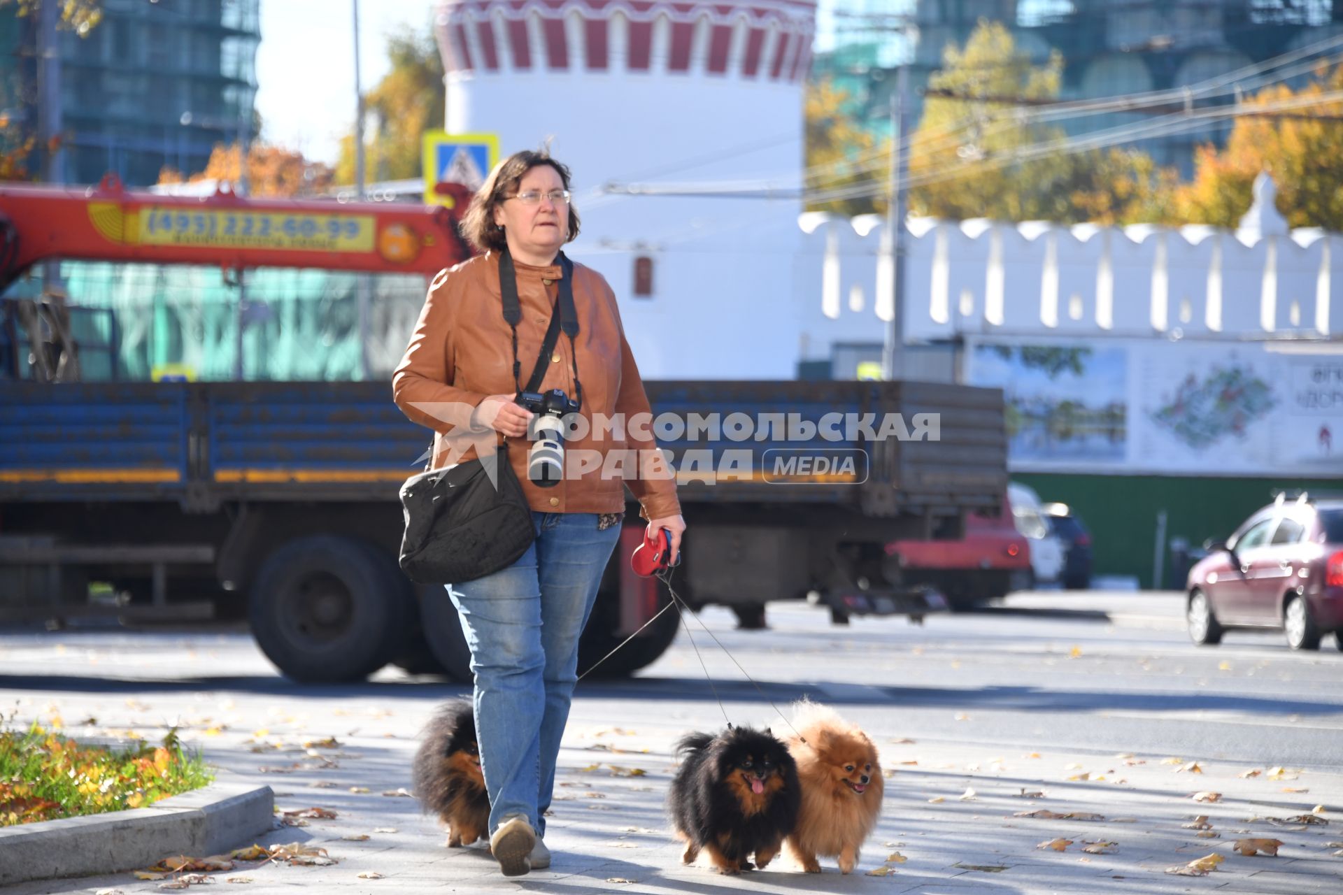 Москва. Дама с собачками у стен Новодевичьего монастыря.