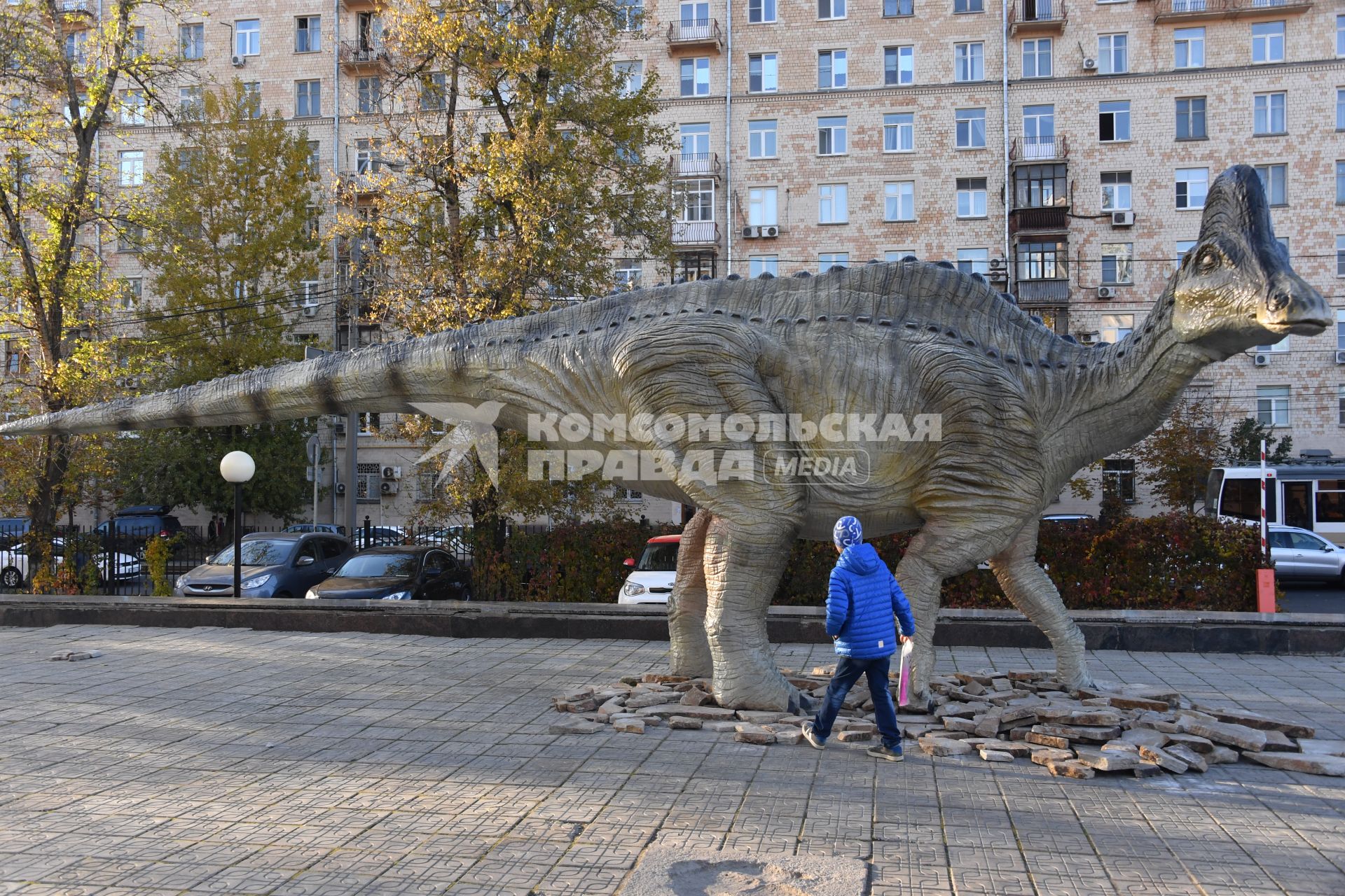 Москва.  Дети играют во дворе Государственного Дарвиновского музея.