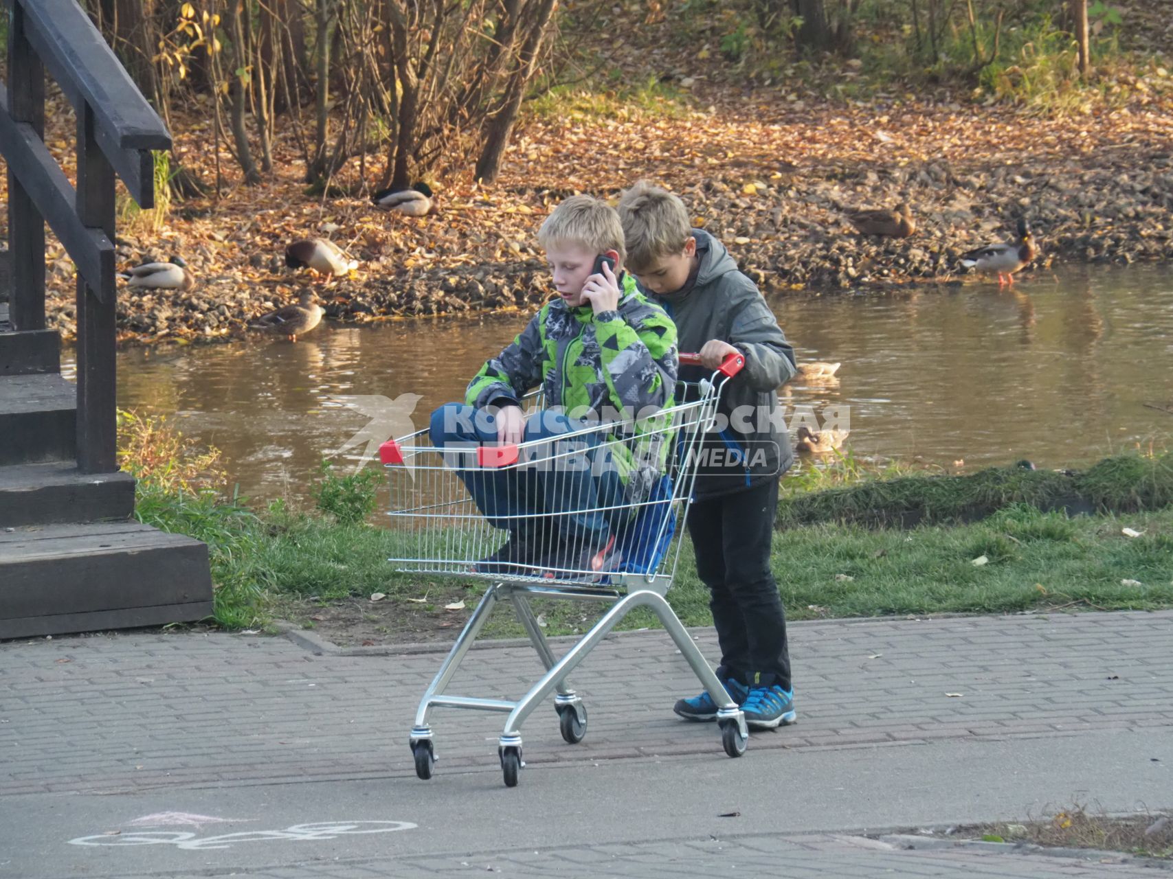 Московская область. Мальчики катаются в продуктовой тележке.