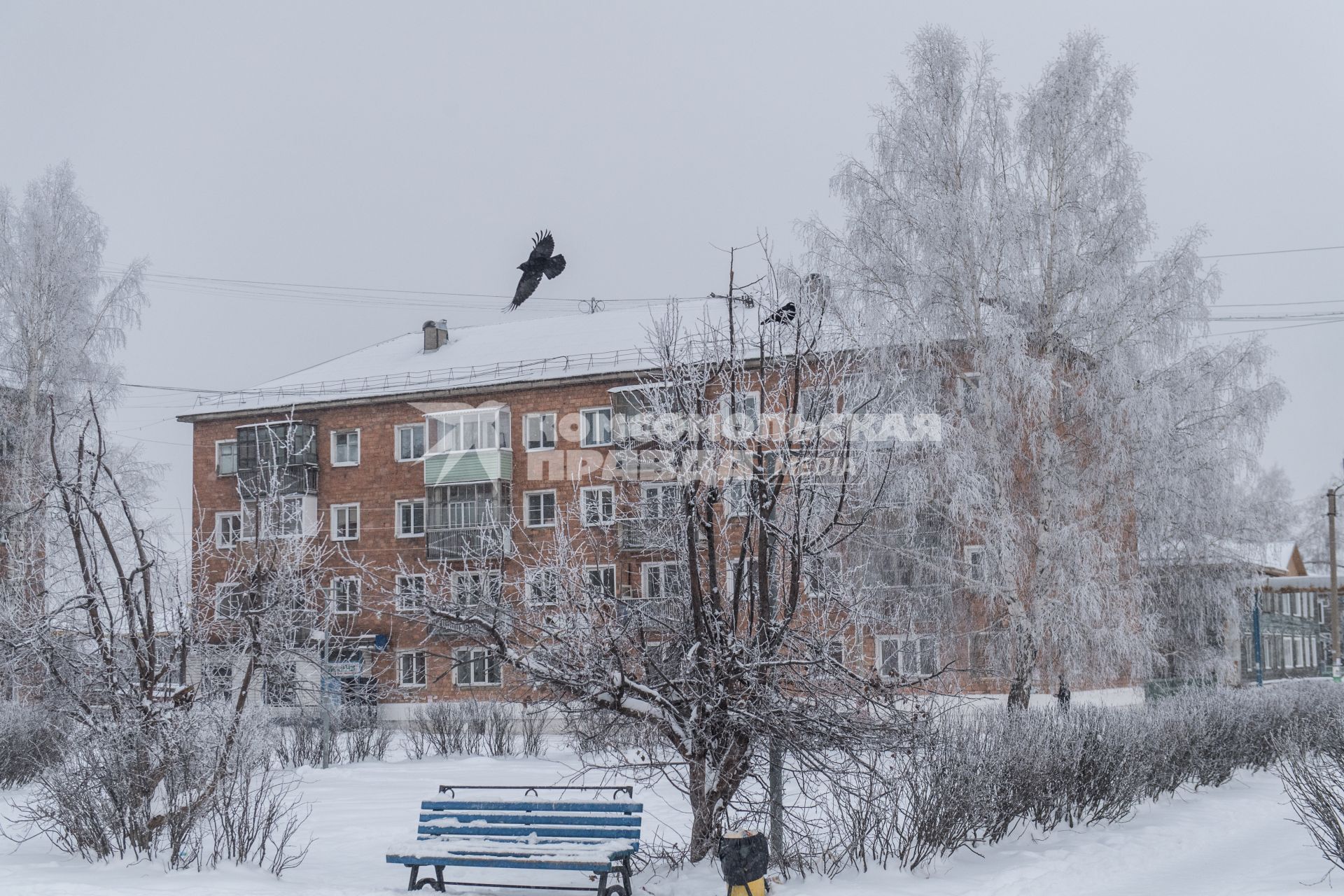 Красноярский край, Лесосибирск, поселок Новоенисейск. Одна из улиц поселка.