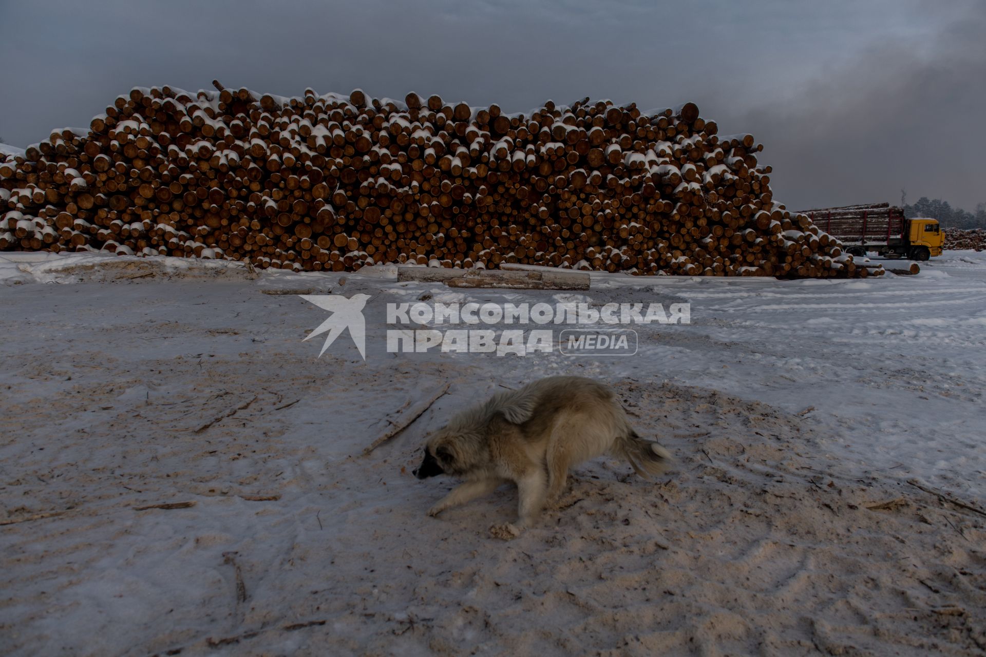 Красноярский край.  Частная лесопилка в тайге в Богучанской районе Красноярского края.