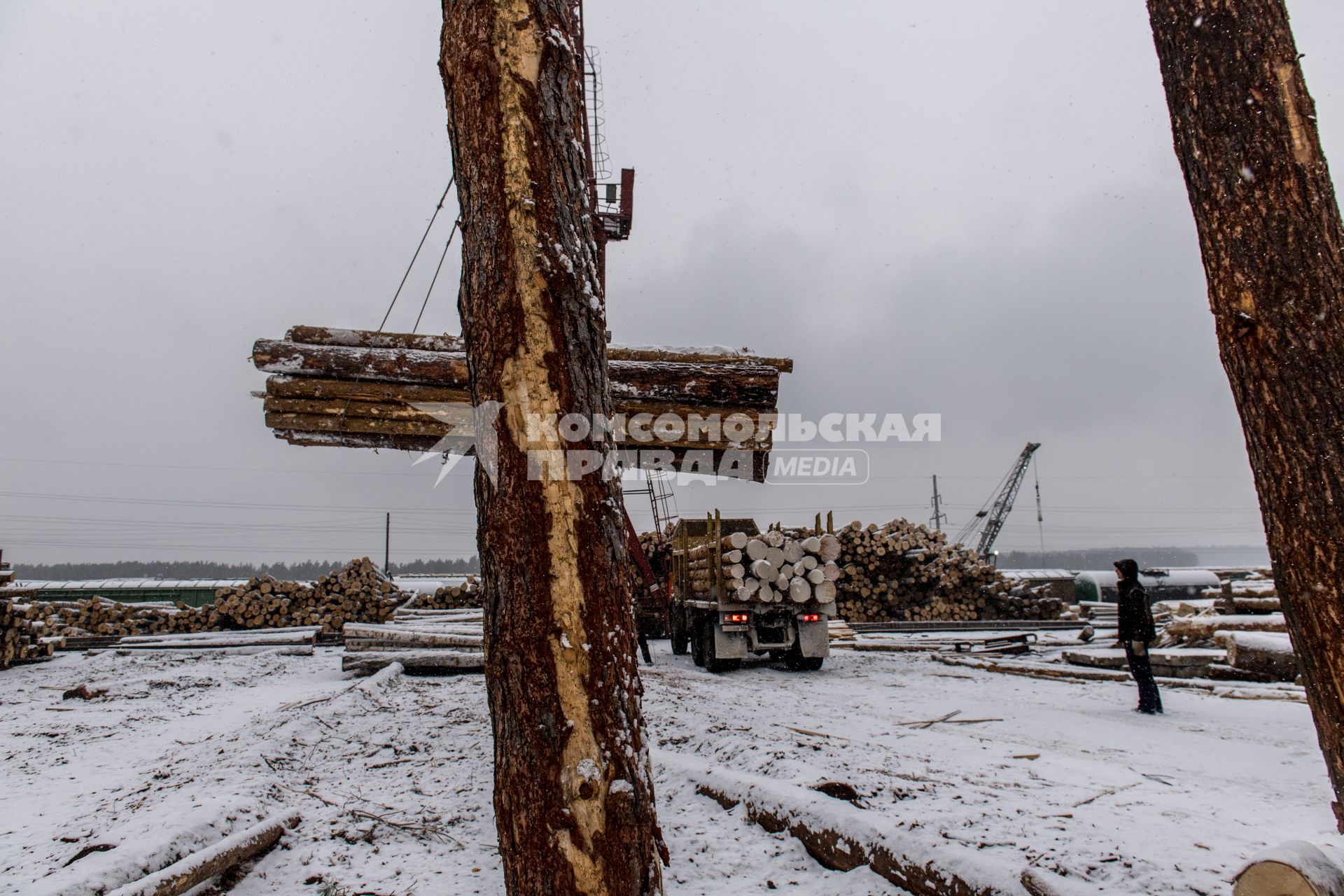 Красноярский край. Рабочий на китайской  лесопилке в Канске.