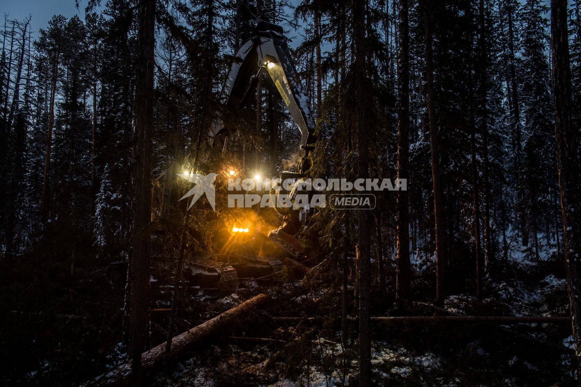 Красноярский край. Лесосибирск. Заготовка леса на лесосеке Богучанском районе Красноярского края.