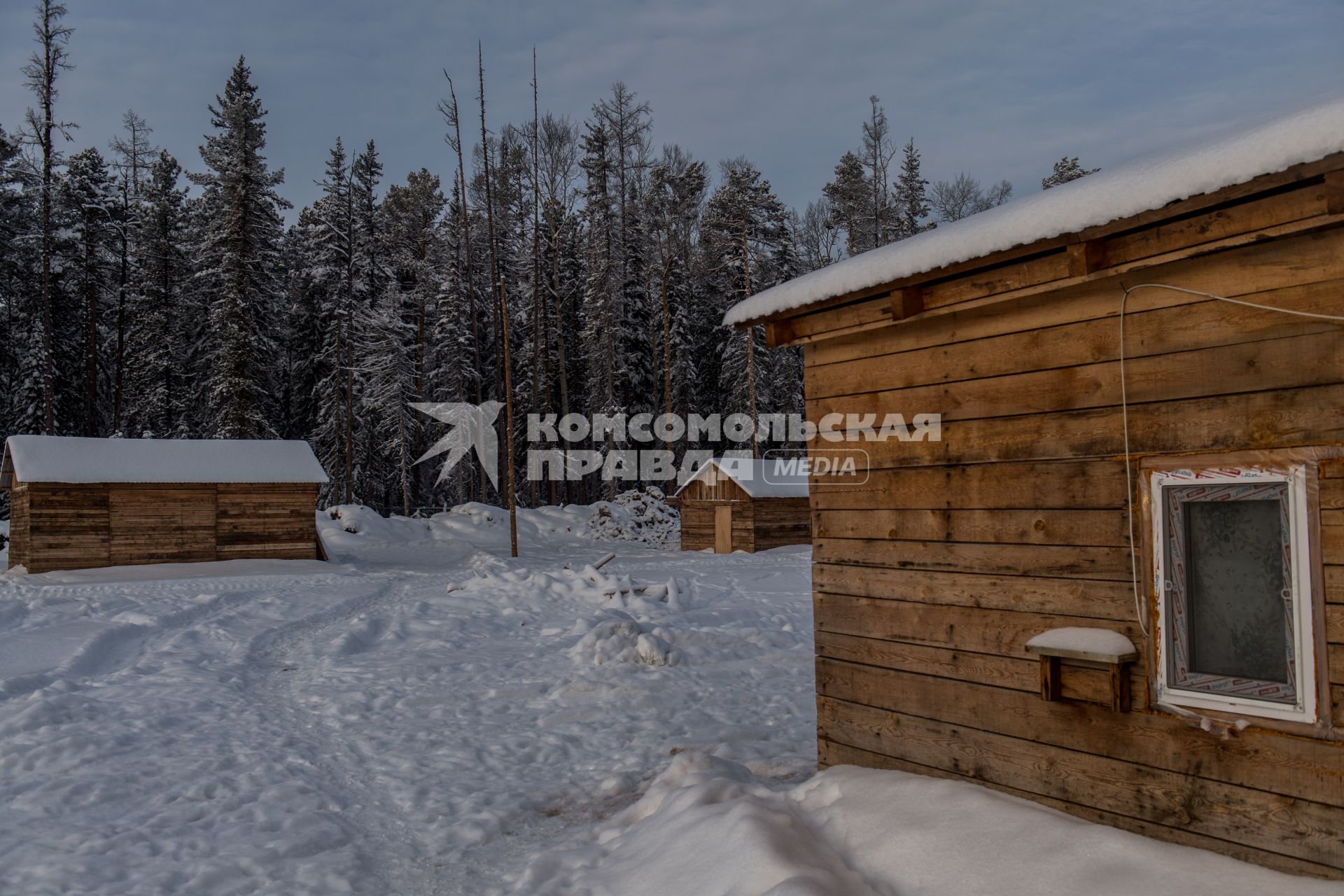 Красноярский край.  Частная лесопилка в тайге в Богучанской районе Красноярского края.