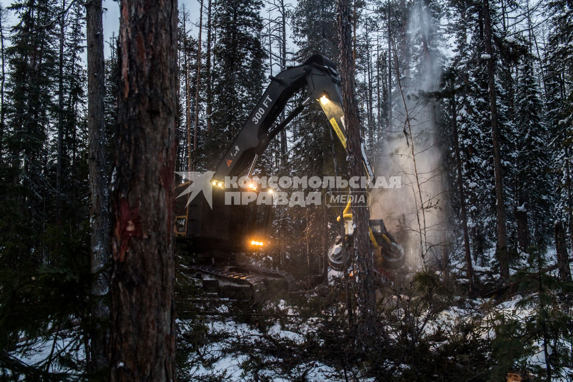 Красноярский край. Лесосибирск. Заготовка леса на лесосеке Богучанском районе Красноярского края.