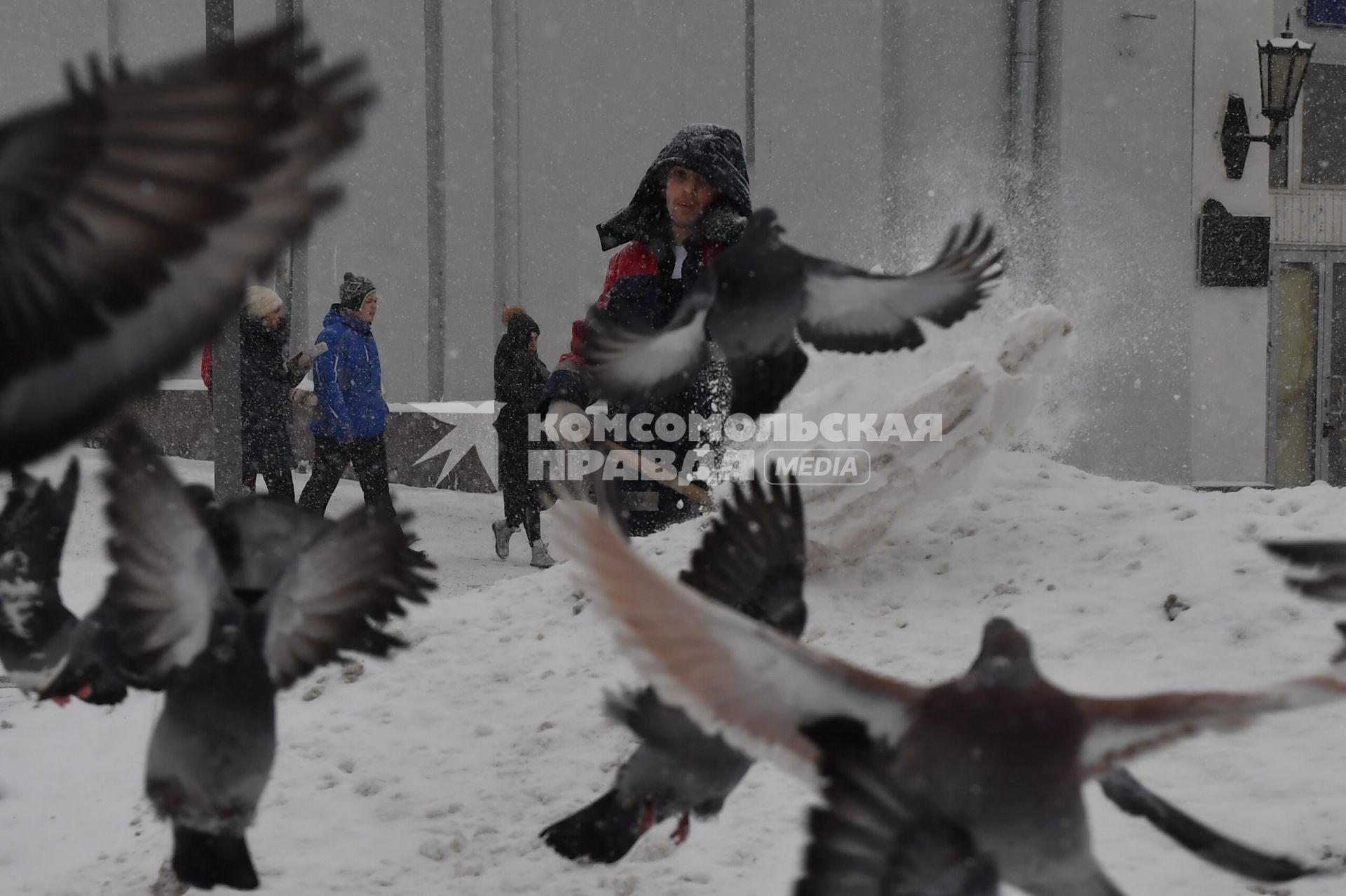 Москва. Голуби на улице Воздвиженка.