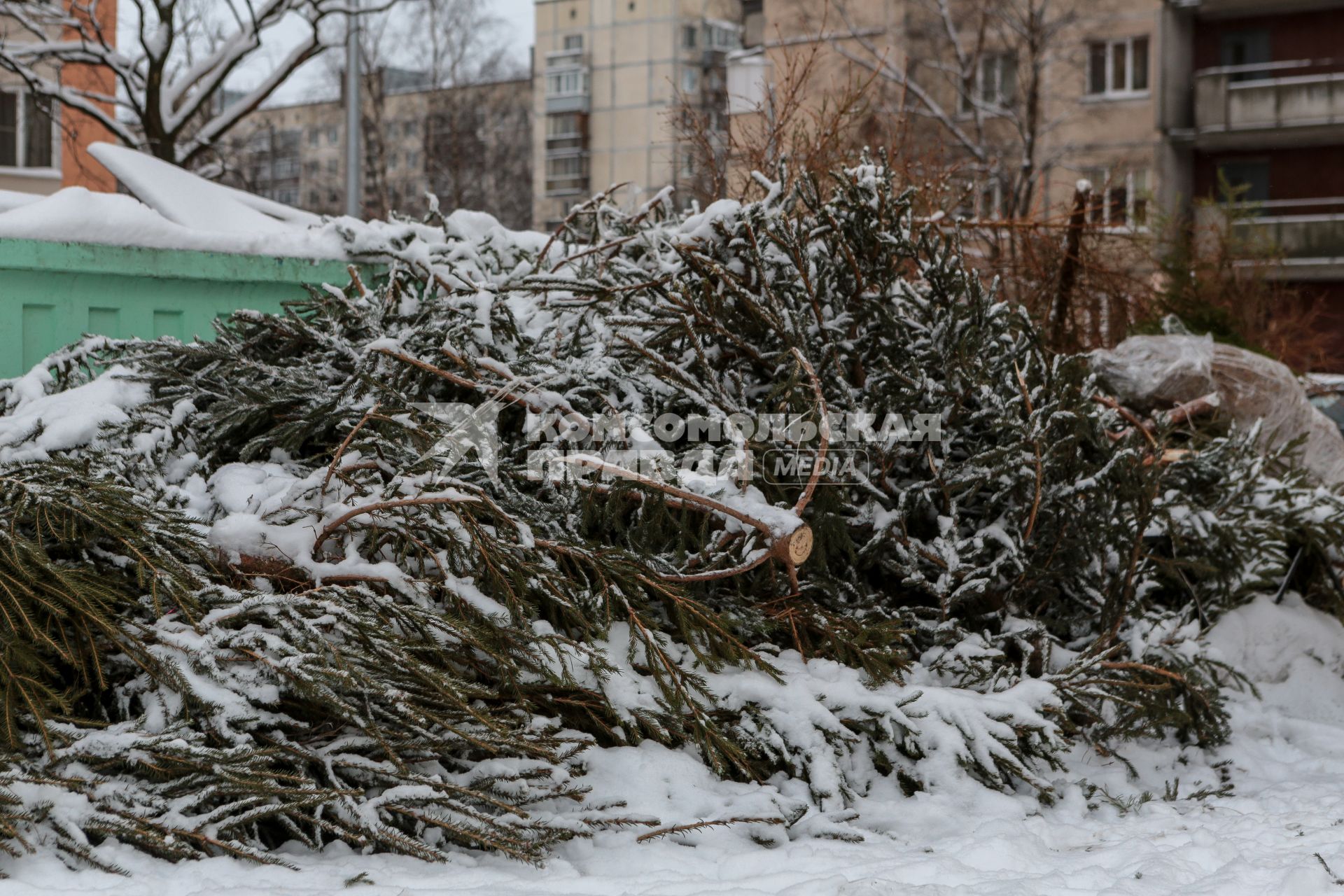 Санкт-Петербург.   Выброшенные елки после празднования Нового года.