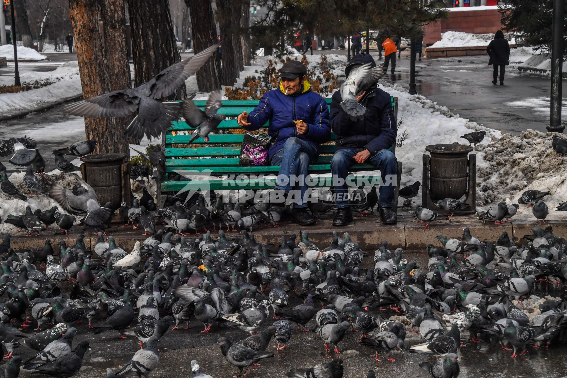 Казахстан, Алма-Ата. Мужчина кормит голубей  на территории парка имени 28 гвардейцев-панфиловцев.