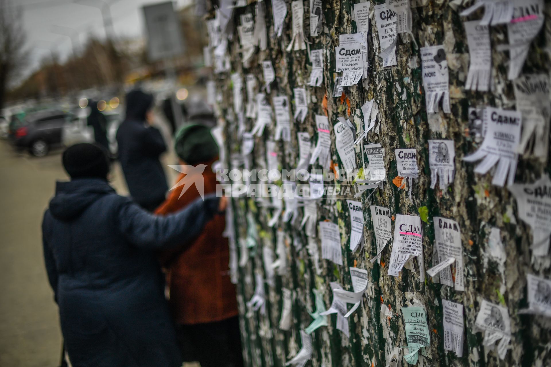 Казахстан, Усть-Каменогорск.  Стена с объявлениями на одной из улиц города.