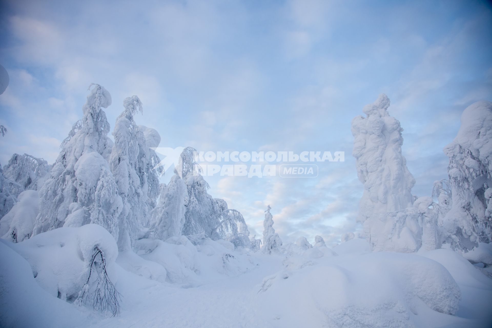 Пермь. Зимний лес в Пермском крае.