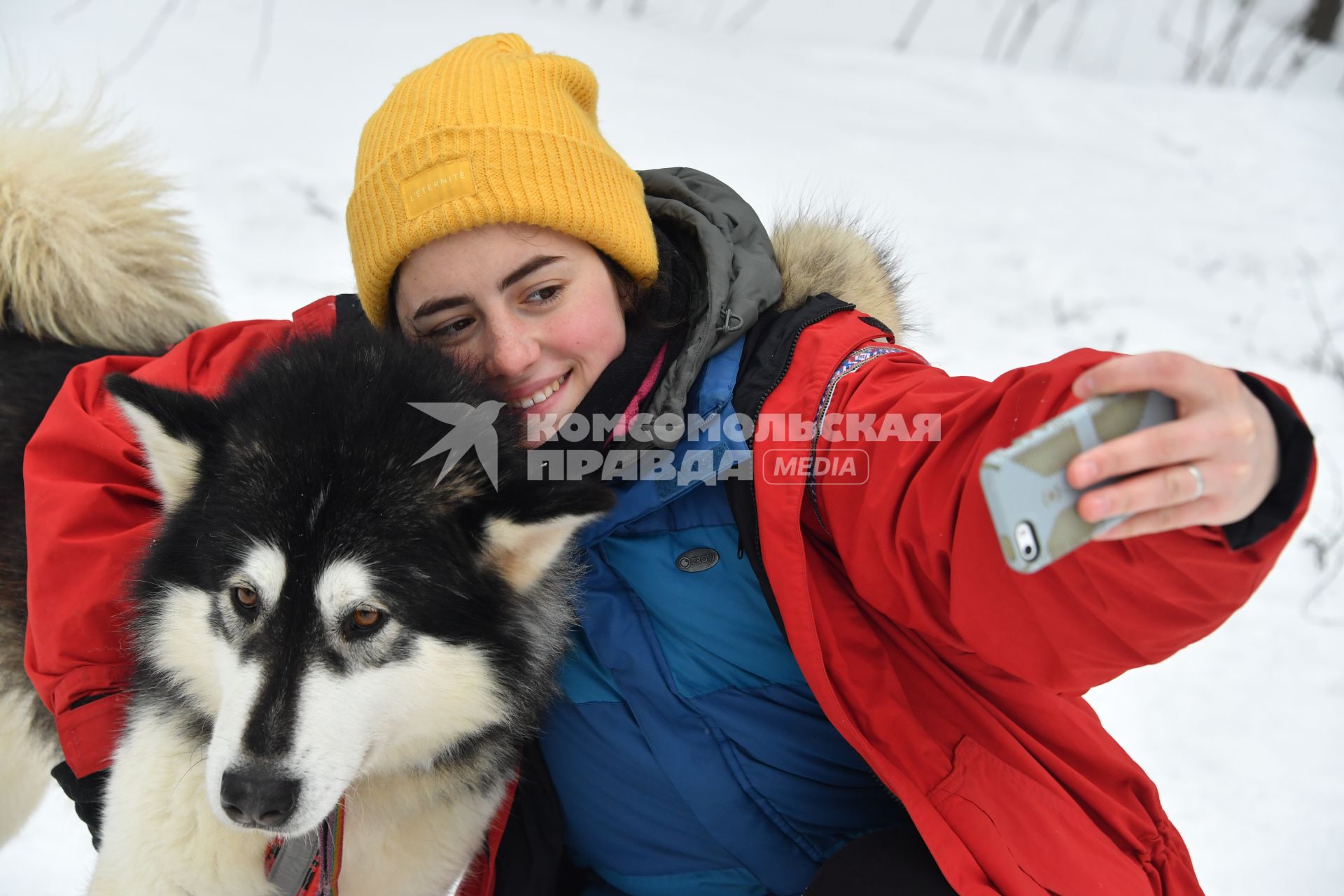 Москва. Девушка фотографируется с ездовой собакой на фестивале ездового спорта `Добрая лапа`в Сокольниках.