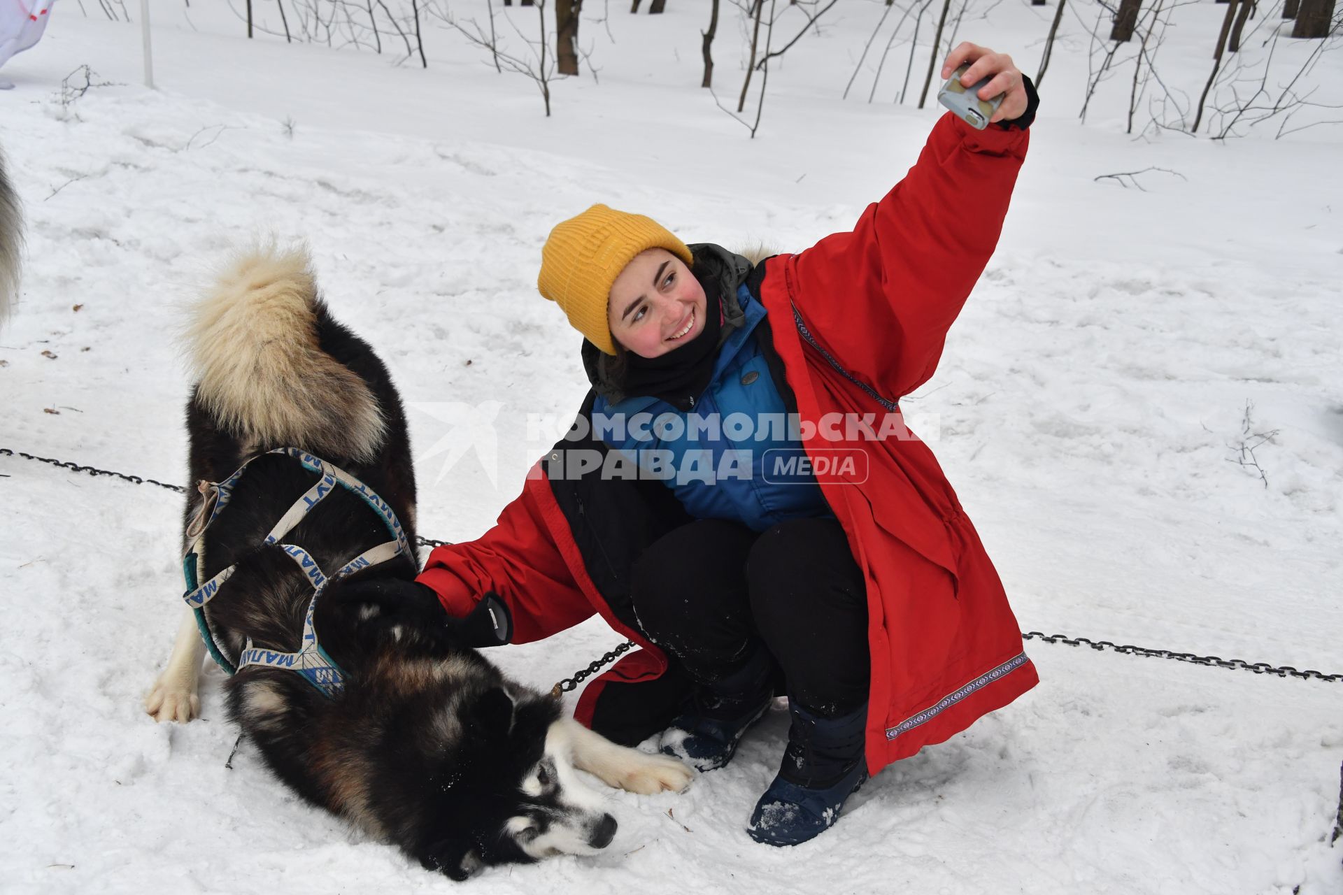 Москва. Девушка фотографируется с ездовой собакой на фестивале ездового спорта `Добрая лапа`в Сокольниках.