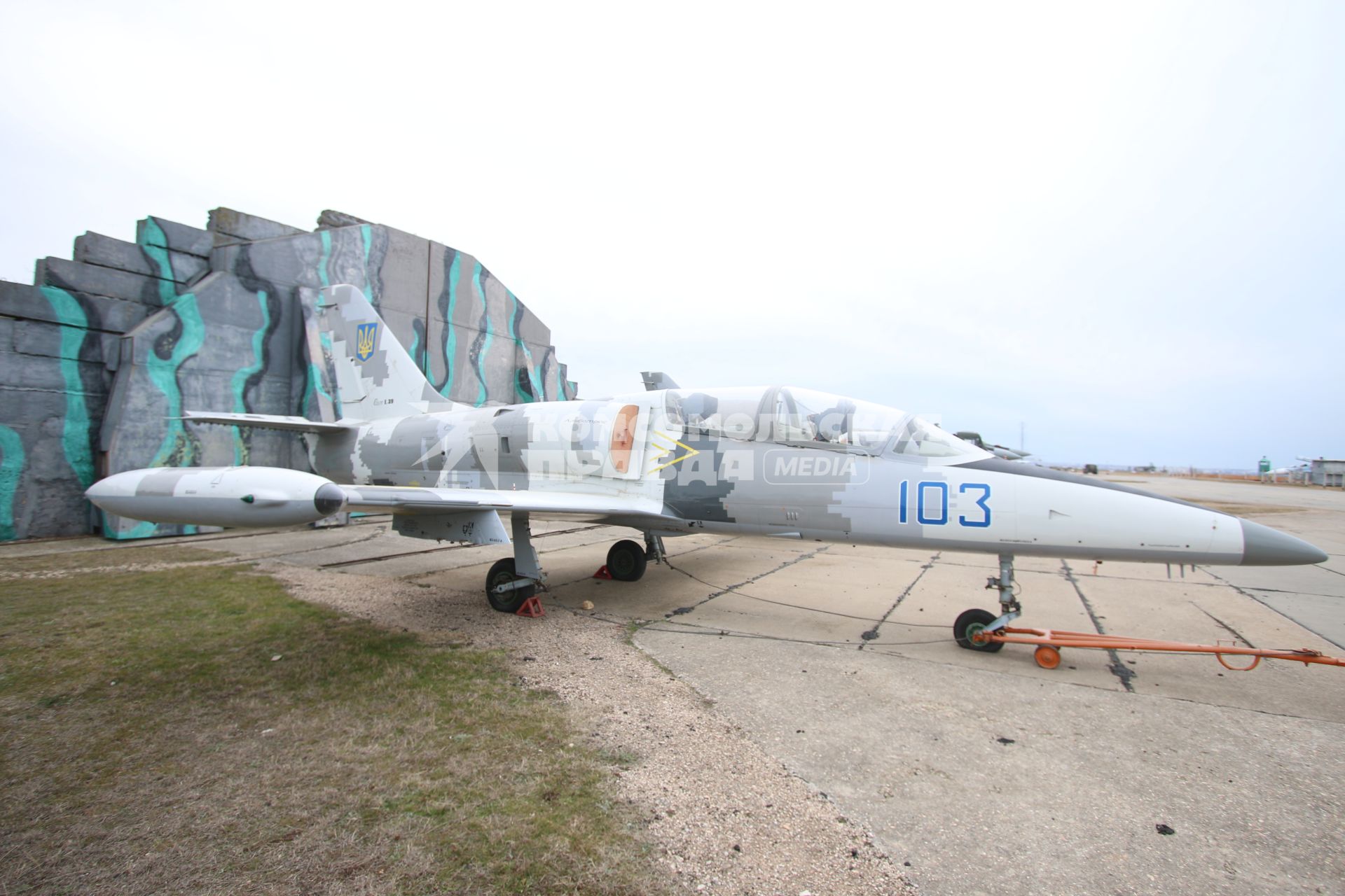 Крым, Бельбек.  L-39 `Albatros `  чехословацкий учебно-боевой самолет
 оставшиеся от Украинской армии.