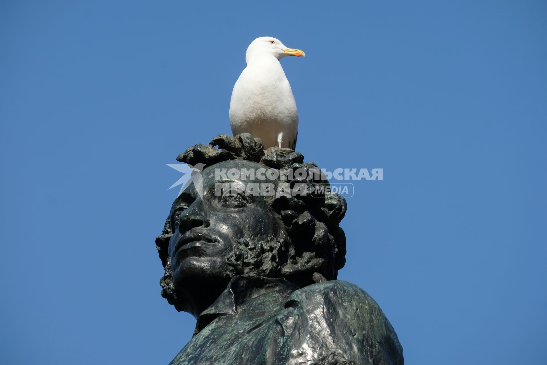 Санкт-Петербург. Памятник А.С. Пушкину.