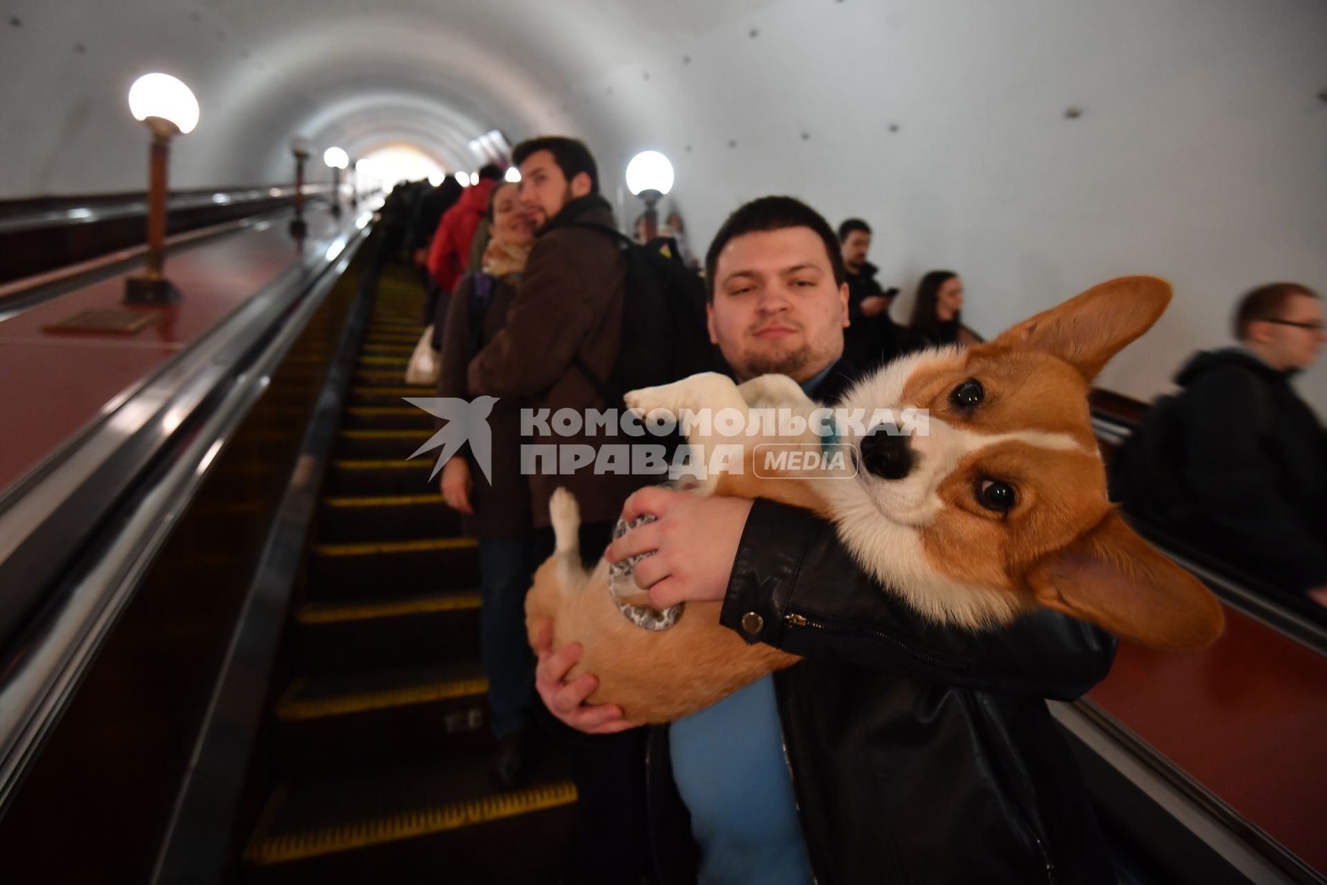 Москва. Мужчина с собакой на эскалаторе московского метрополитена.