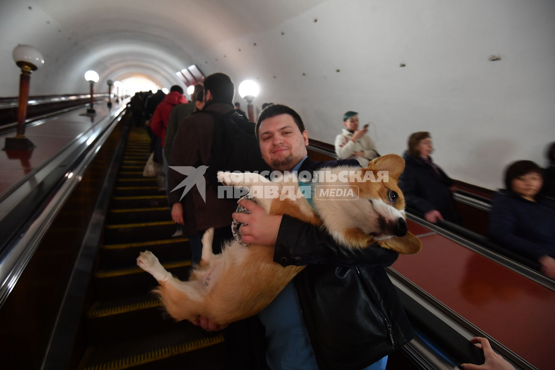 Москва. Мужчина с собакой на эскалаторе московского метрополитена.