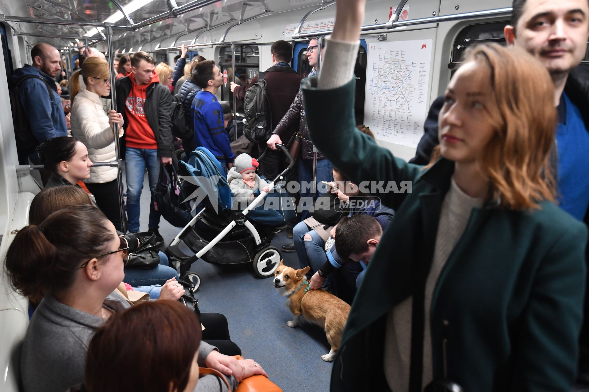 Москва. Мужчина с собакой в вагоне поезда московского метрополитена.