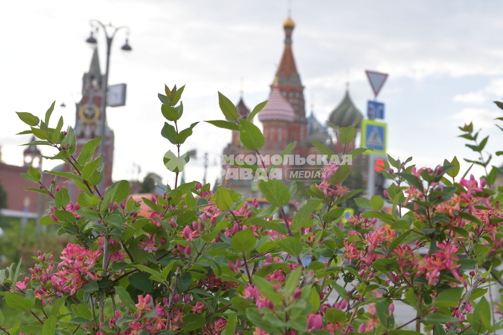 Москва.  Весна  в парке `Зарядье`.