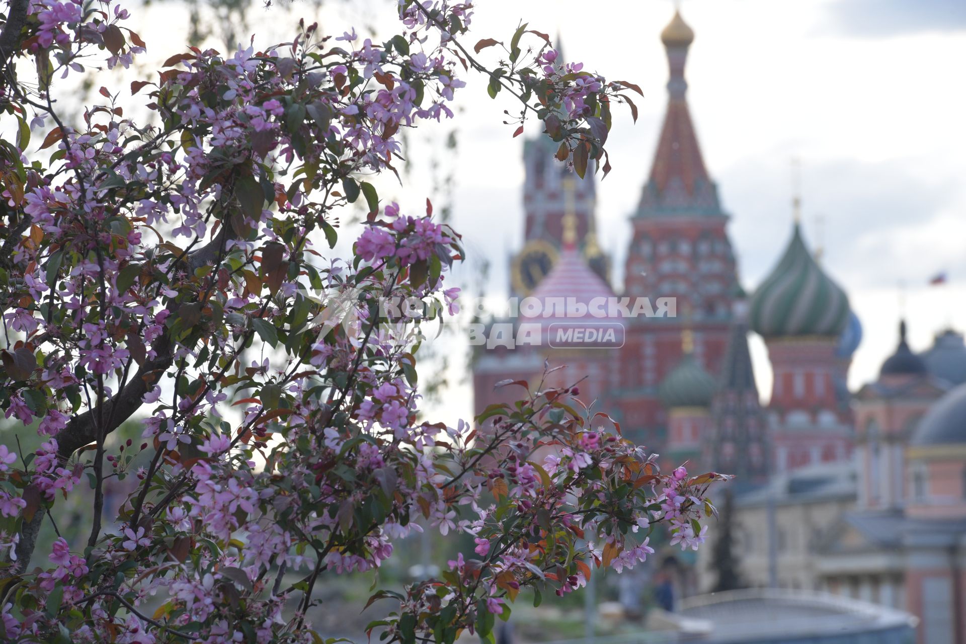 Москва.  Весна  в парке `Зарядье`.