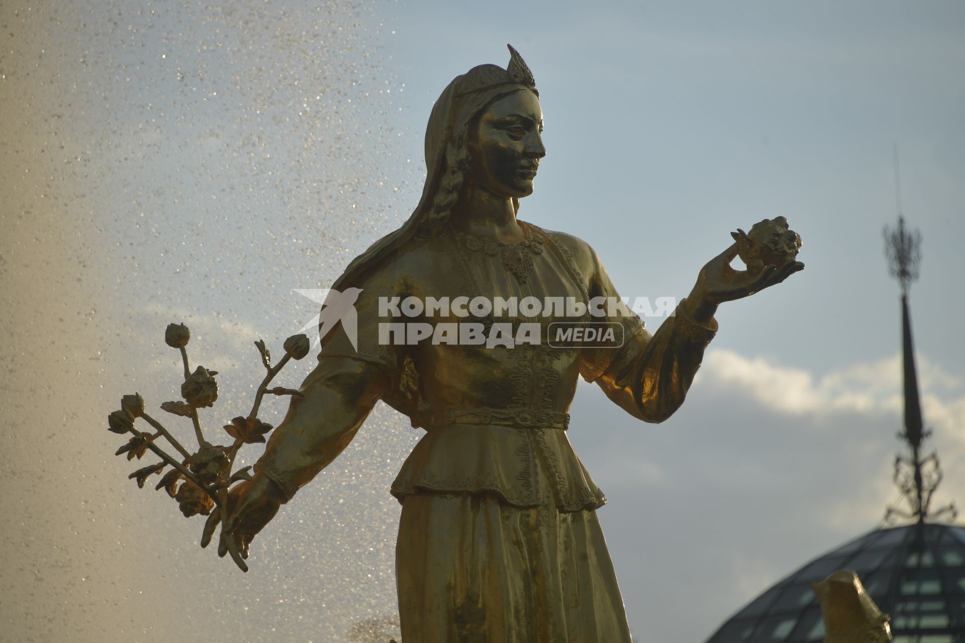 Москва.  Фрагмент фонтана `Дружба народов` на Центральной аллее ВДНХ.