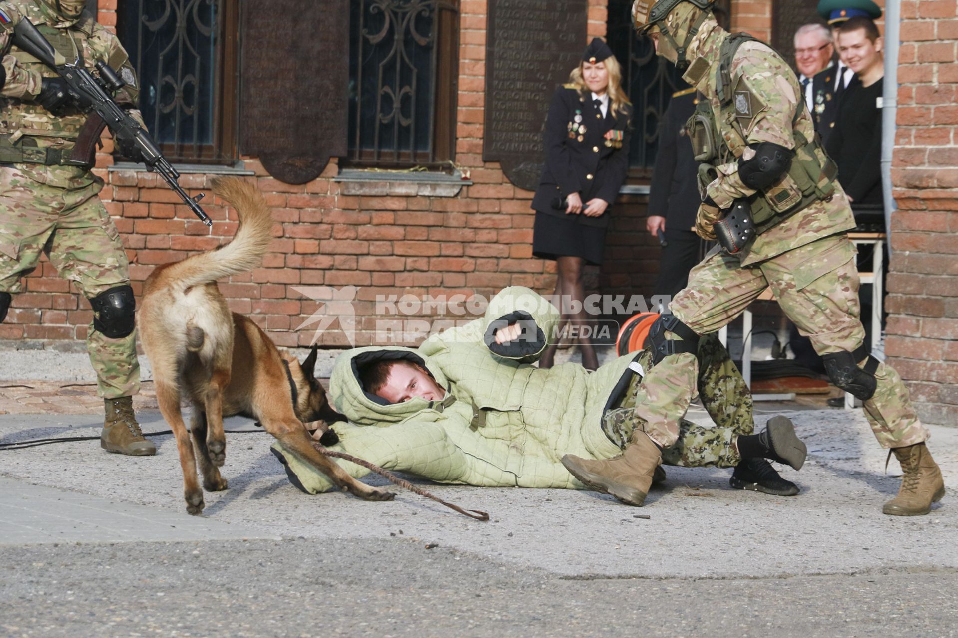 Барнаул. Показательные выступления во время празднования Дня пограничника.