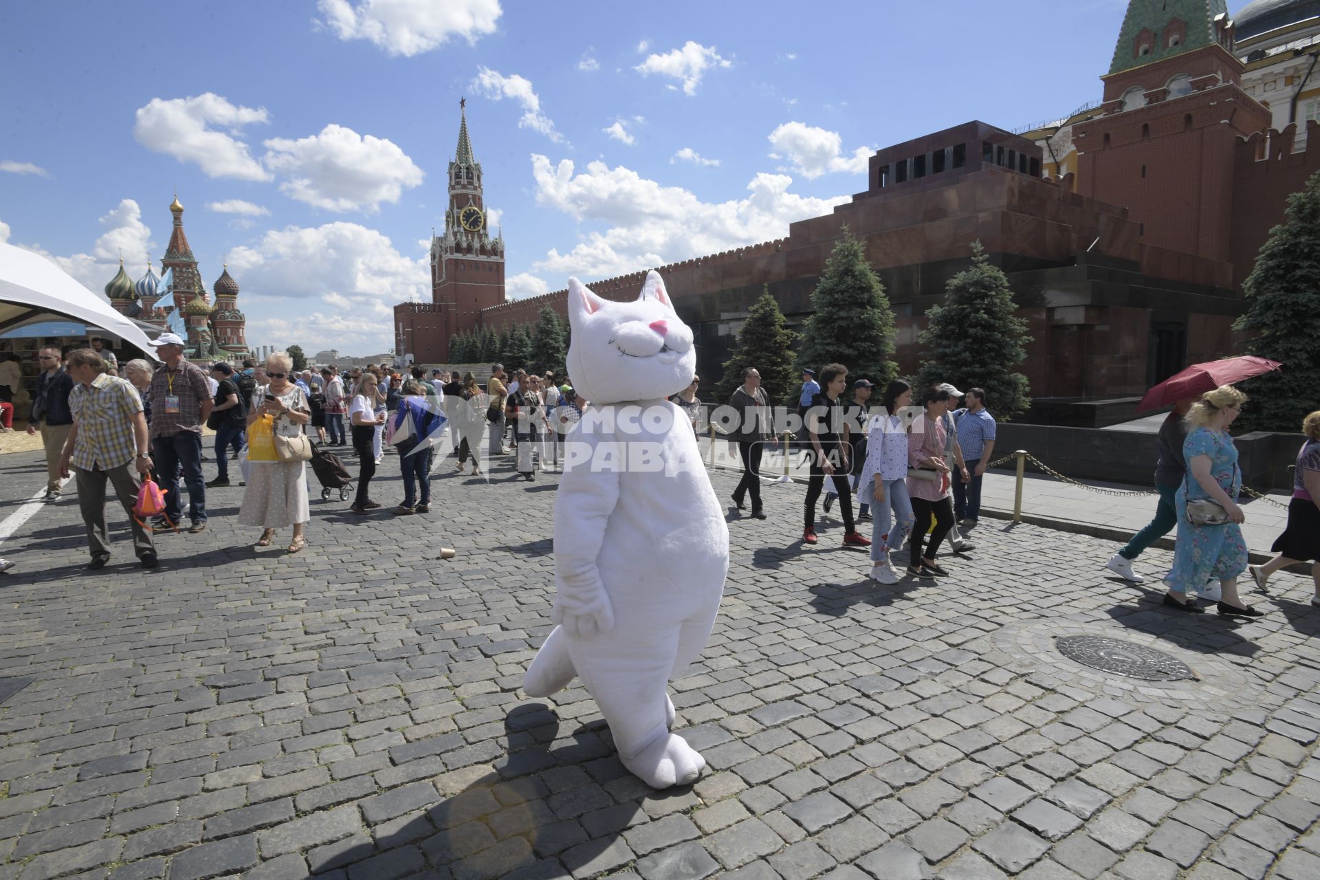 Москва. На книжном фестивале `Красная площадь`.